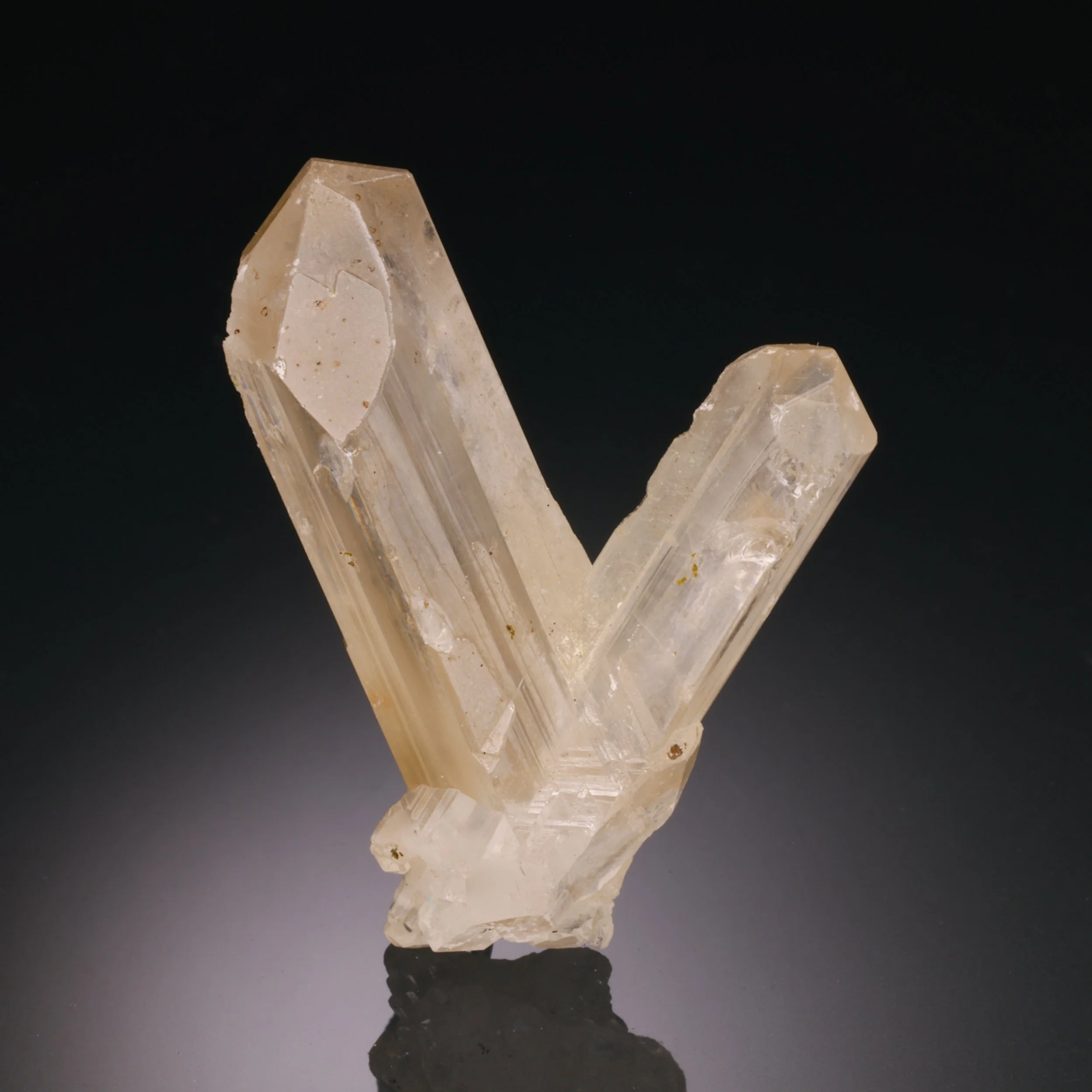 DanZellnerMineralPhotos5.19-4022.jpg
