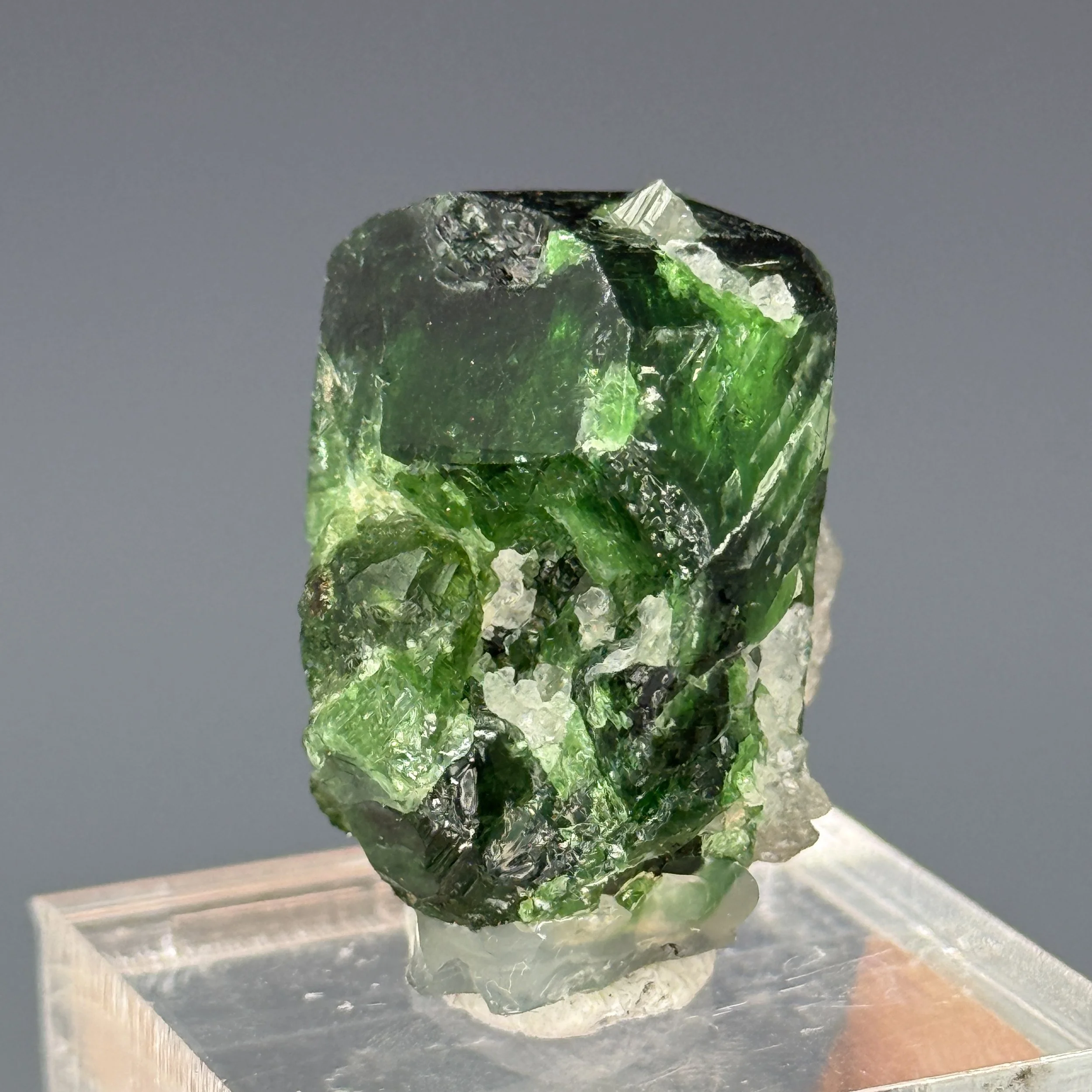 Vanadium Dravite, Tourmaline, Landanai, Simanjiro District, Manyara Region, Tanzania