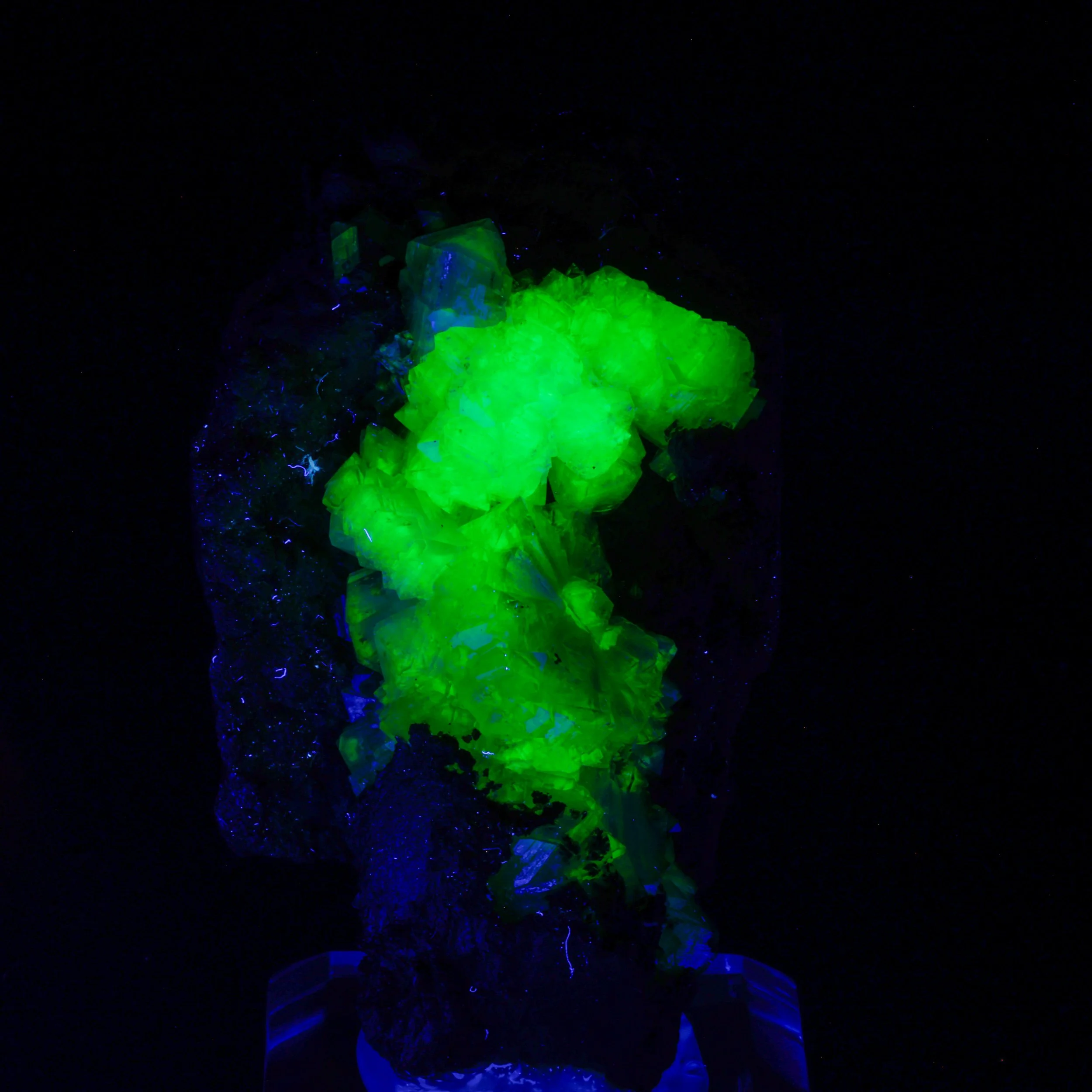 DanZellnerMineralPhotos4.26-3672.jpg