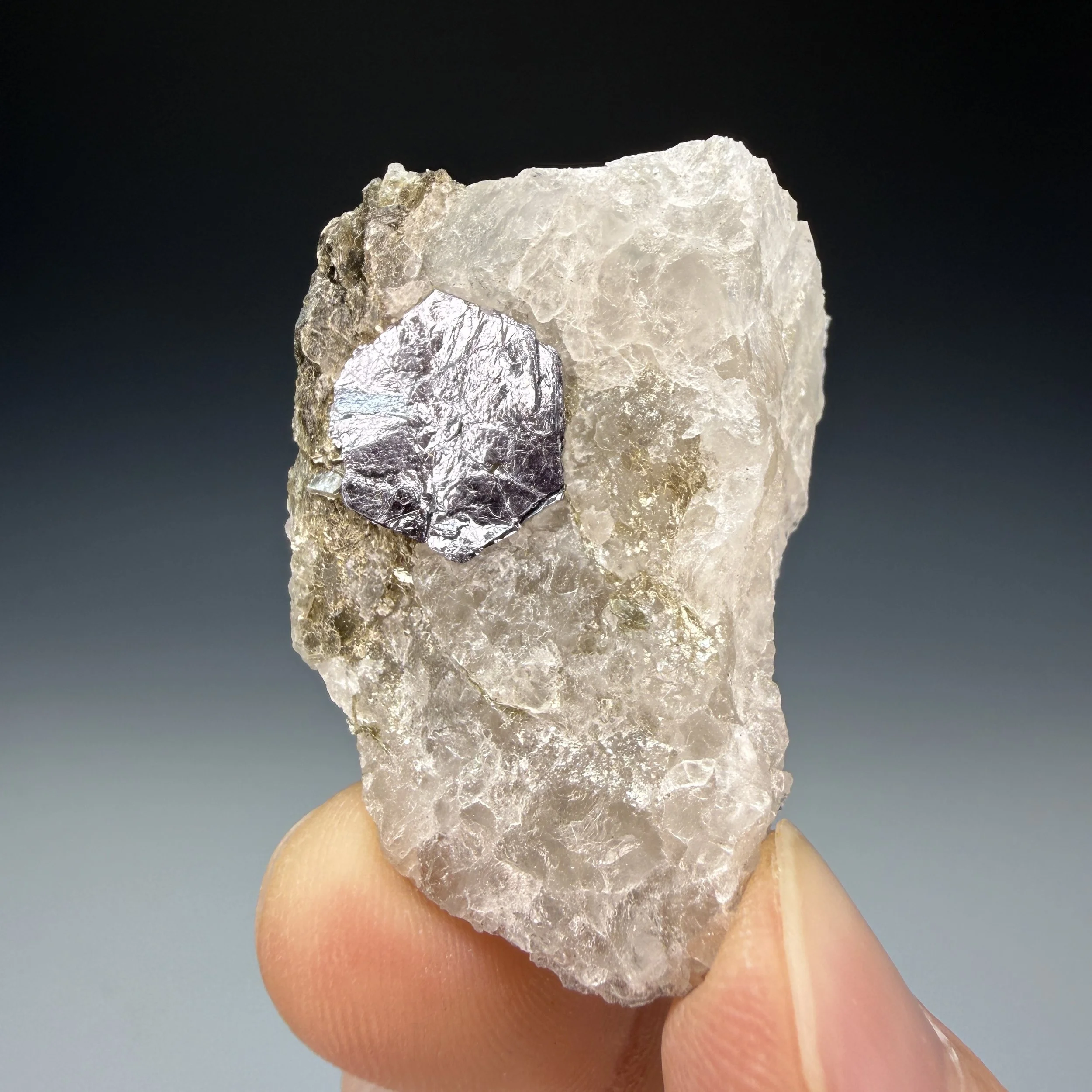 Molybdenite, Quartz, Moly Hill Mine, La Motte, Abitibi, Quebec, Canada