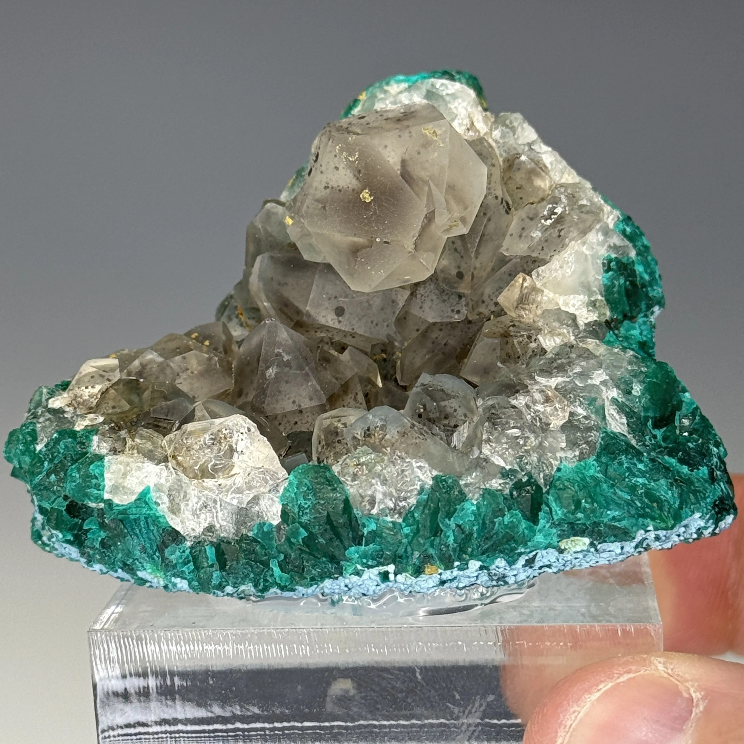 Dioptase, Quartz, Mindouli, Pool Department, Republic of the Congo