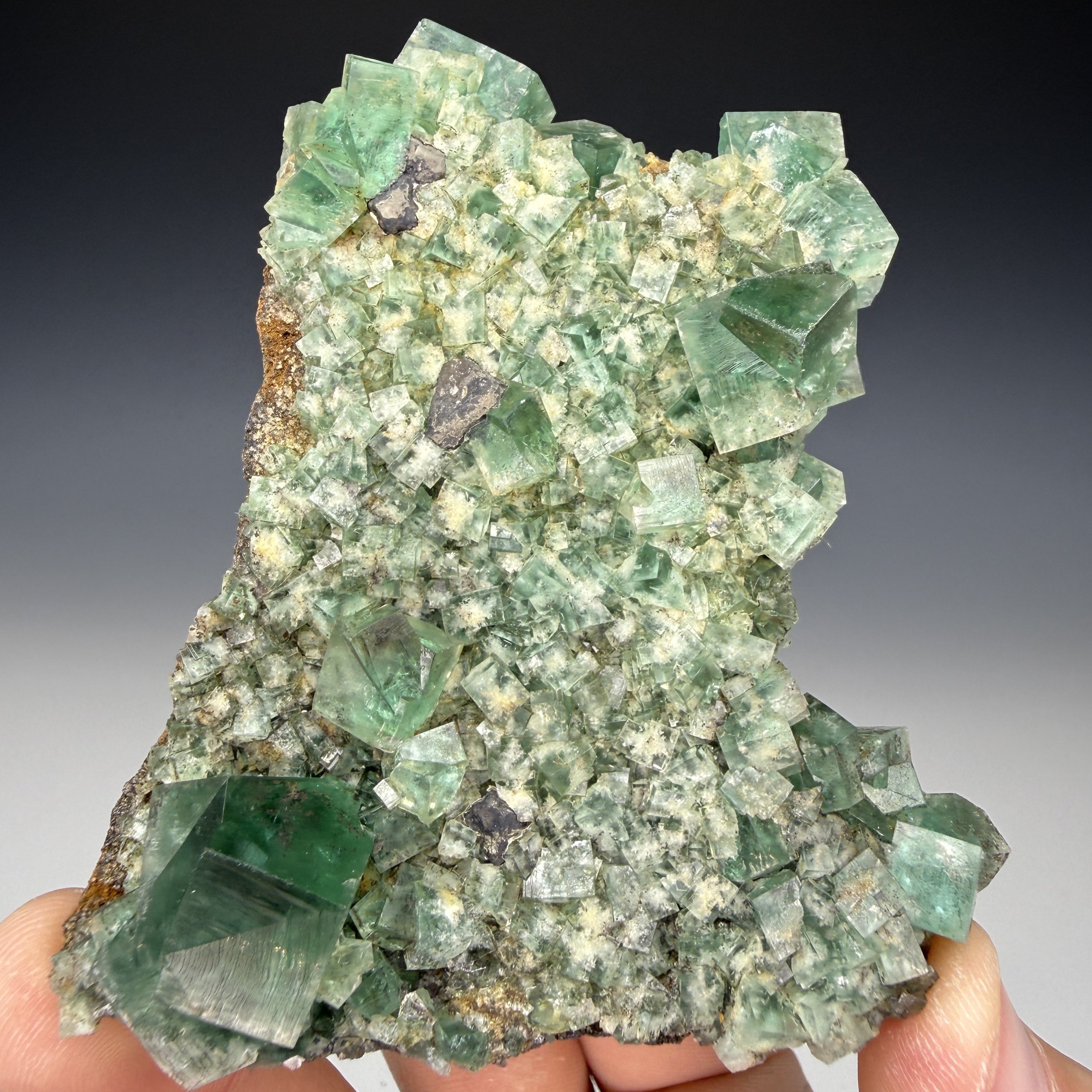 Fluorite, Galena, Rogerley Mine, Stanhope, County Durham, England, UK