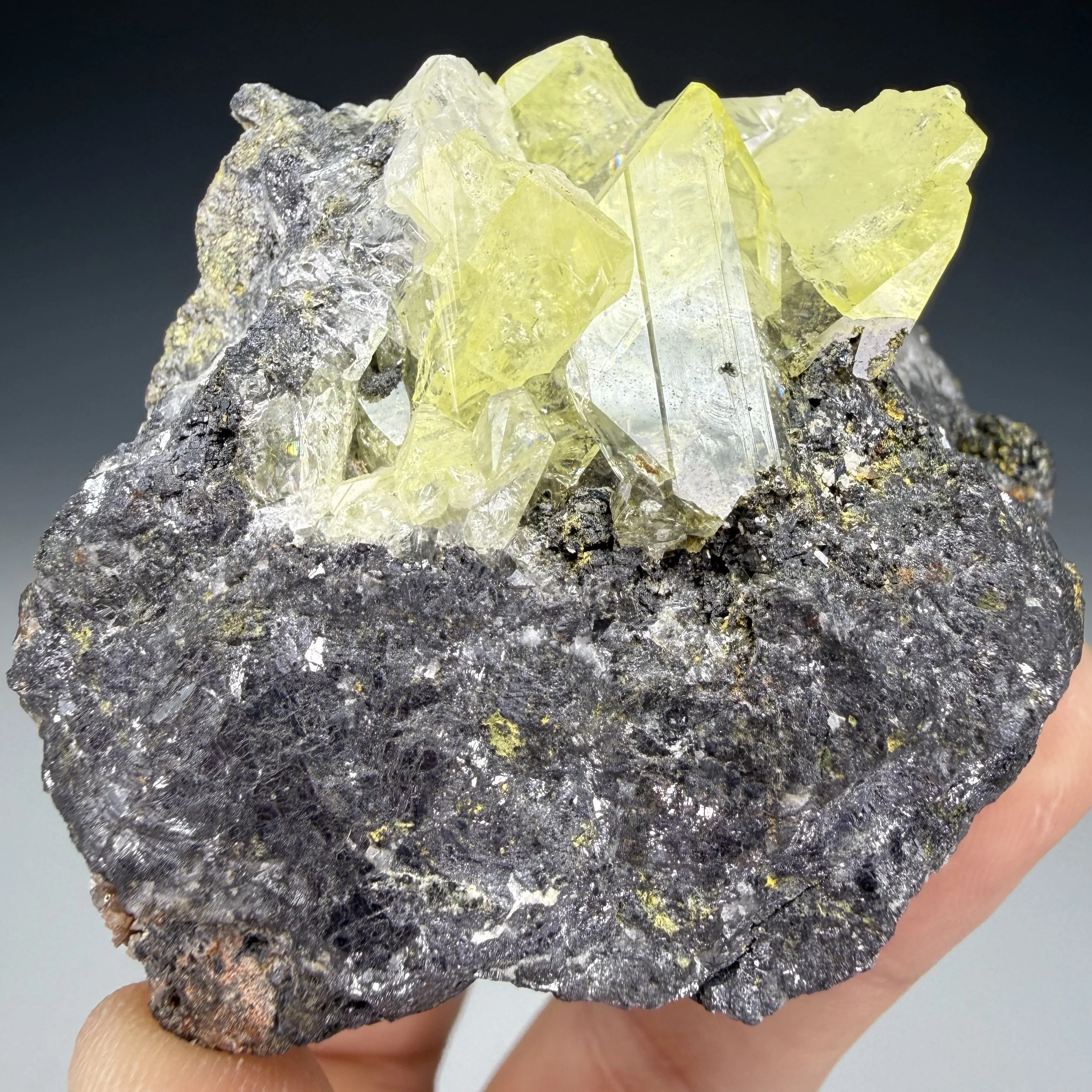 Anglesite, Touissit, Jerada Province, Oriental Region, Morocco