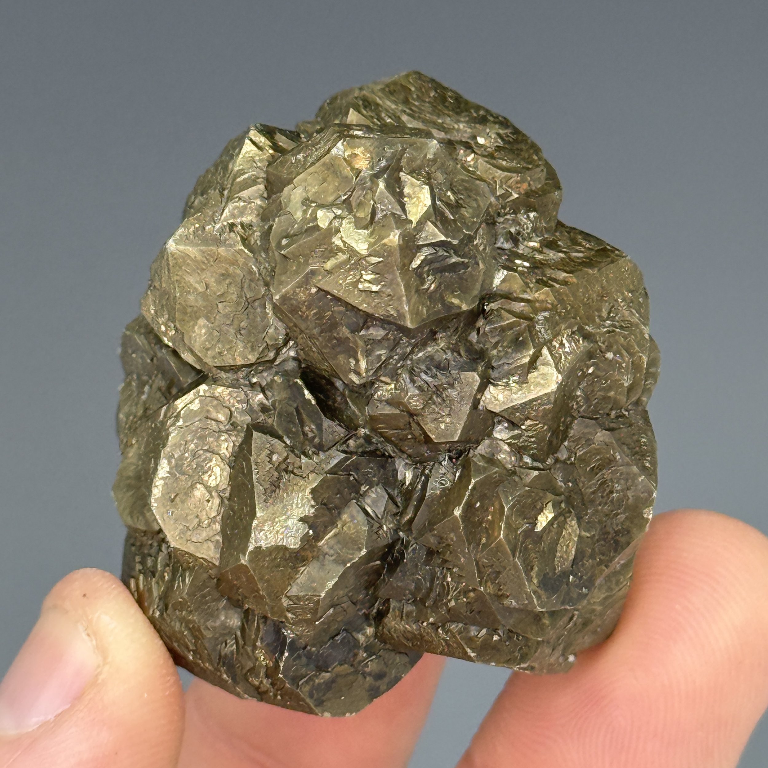 Pyrite, Austin Chalk Formation, Midlothian, Texas, USA