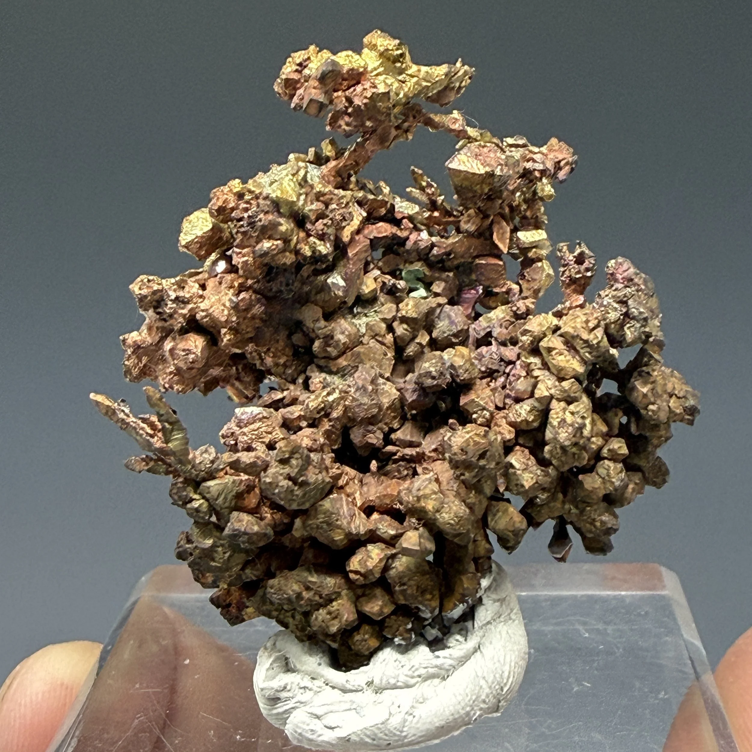 Copper, Laker Pocket, Eagle Harbor, Keweenaw County, Michigan, USA