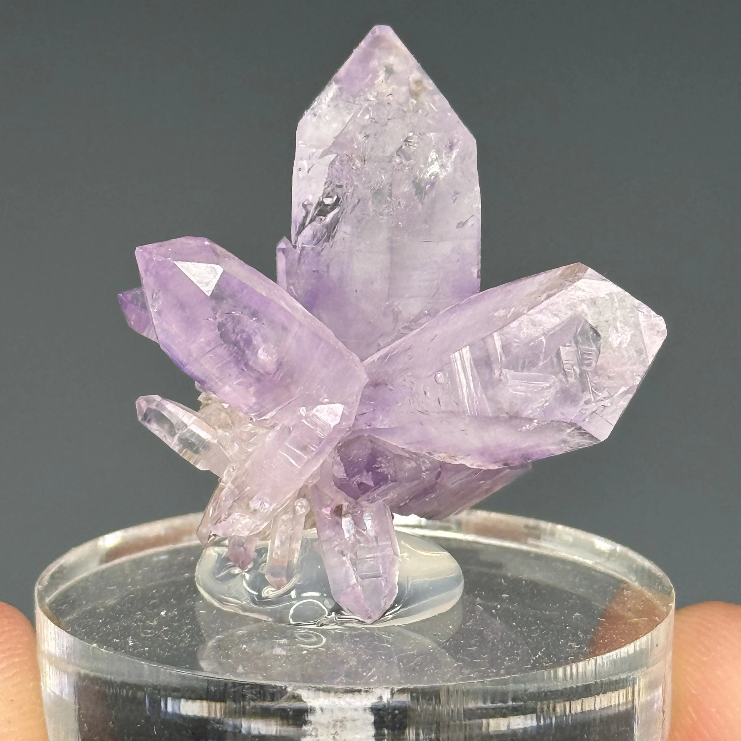 Quartz var. Amethyst, Las Vigas Mun., Veracruz, Mexico