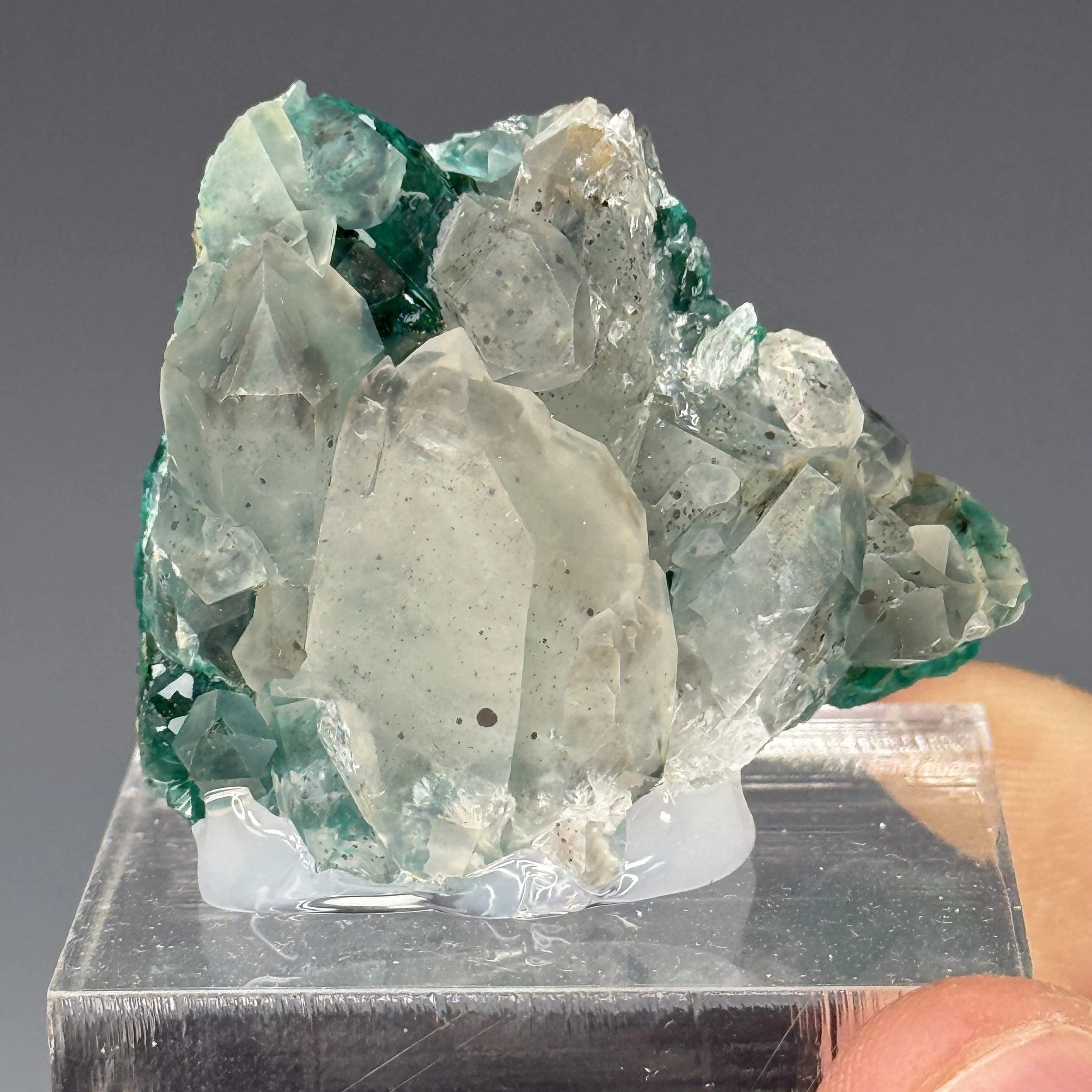Dioptase, Quartz, Mindouli, Pool Department, Republic of the Congo