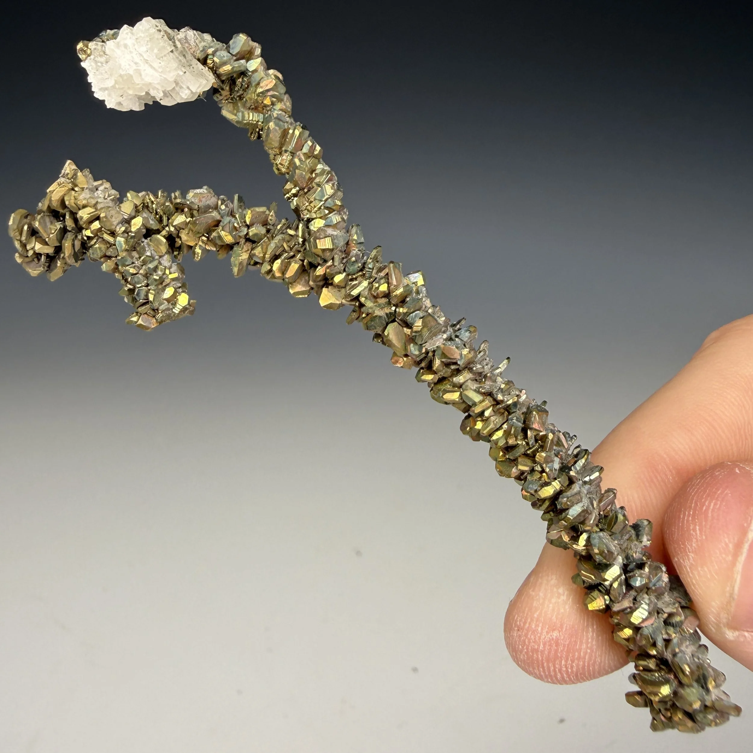 Marcasite, Linwood Mine, Buffalo, Scott Co., Iowa, USA