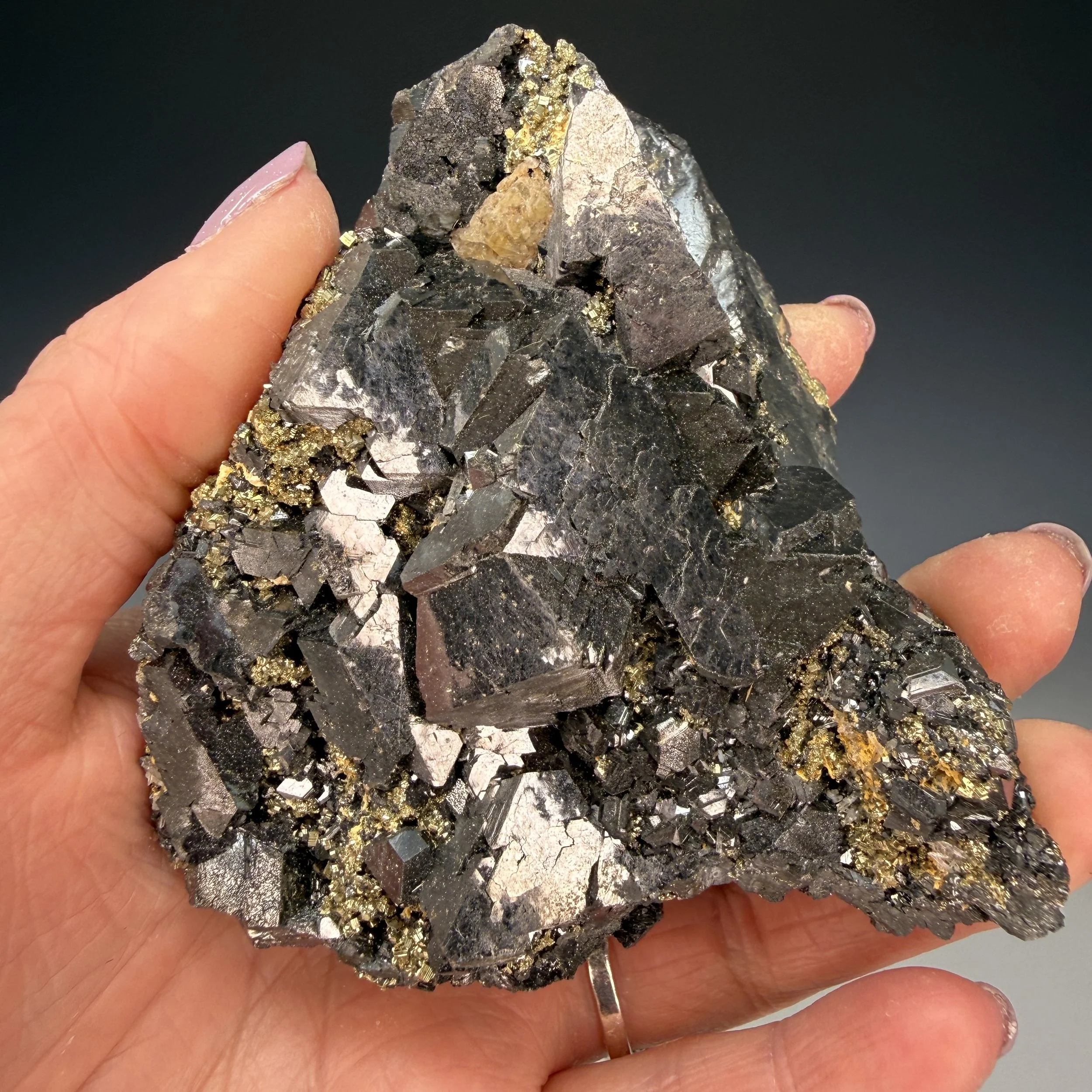 Sphalerite and Pyrite, Pachapaqui Mining District, Aquia Dist., Bolognesi Prov., Ancash, Peru