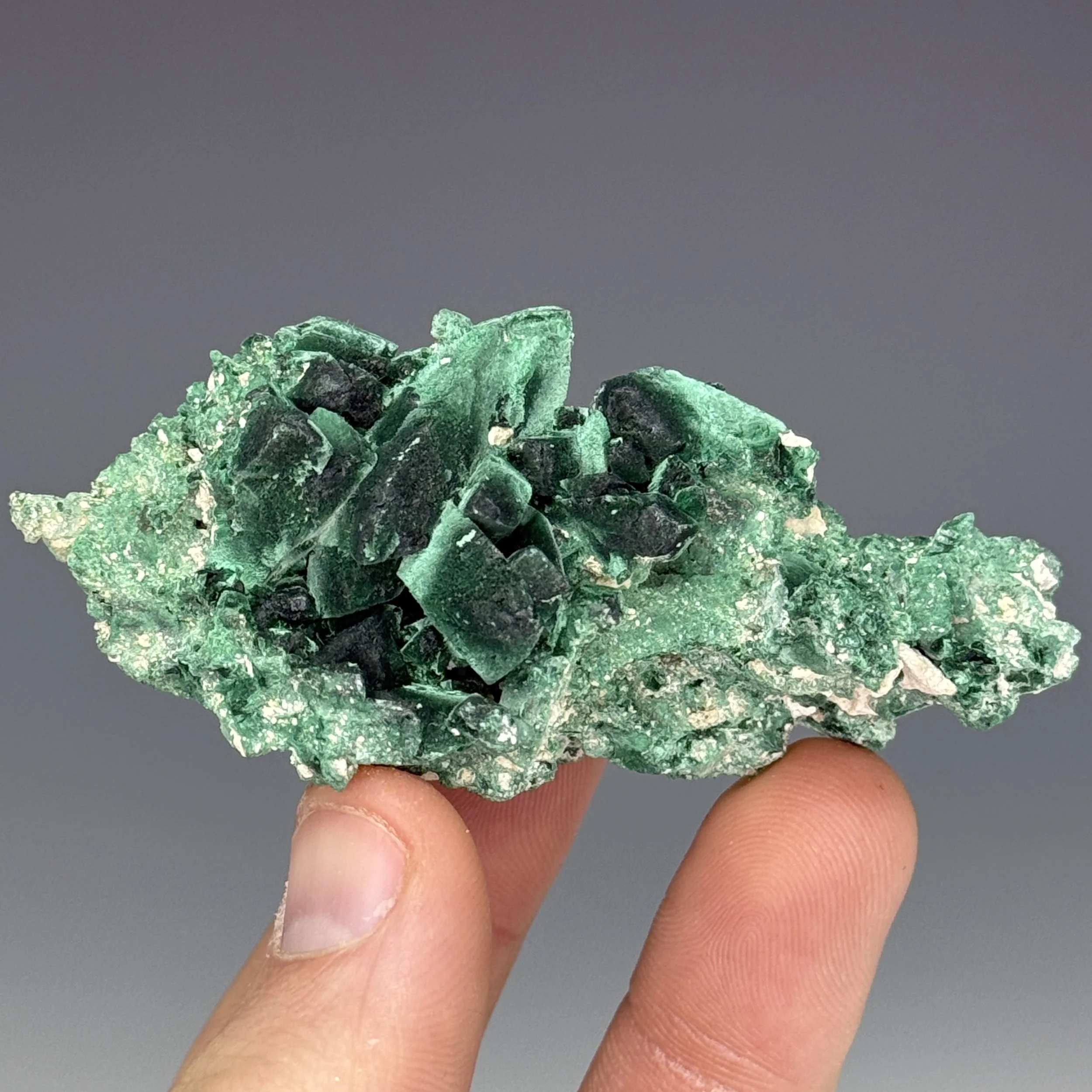 Malachite Pseudomorph after, Azurite, Milpillas Mine, Cuitaca, Santa Cruz Muni., Sonora, Mexico