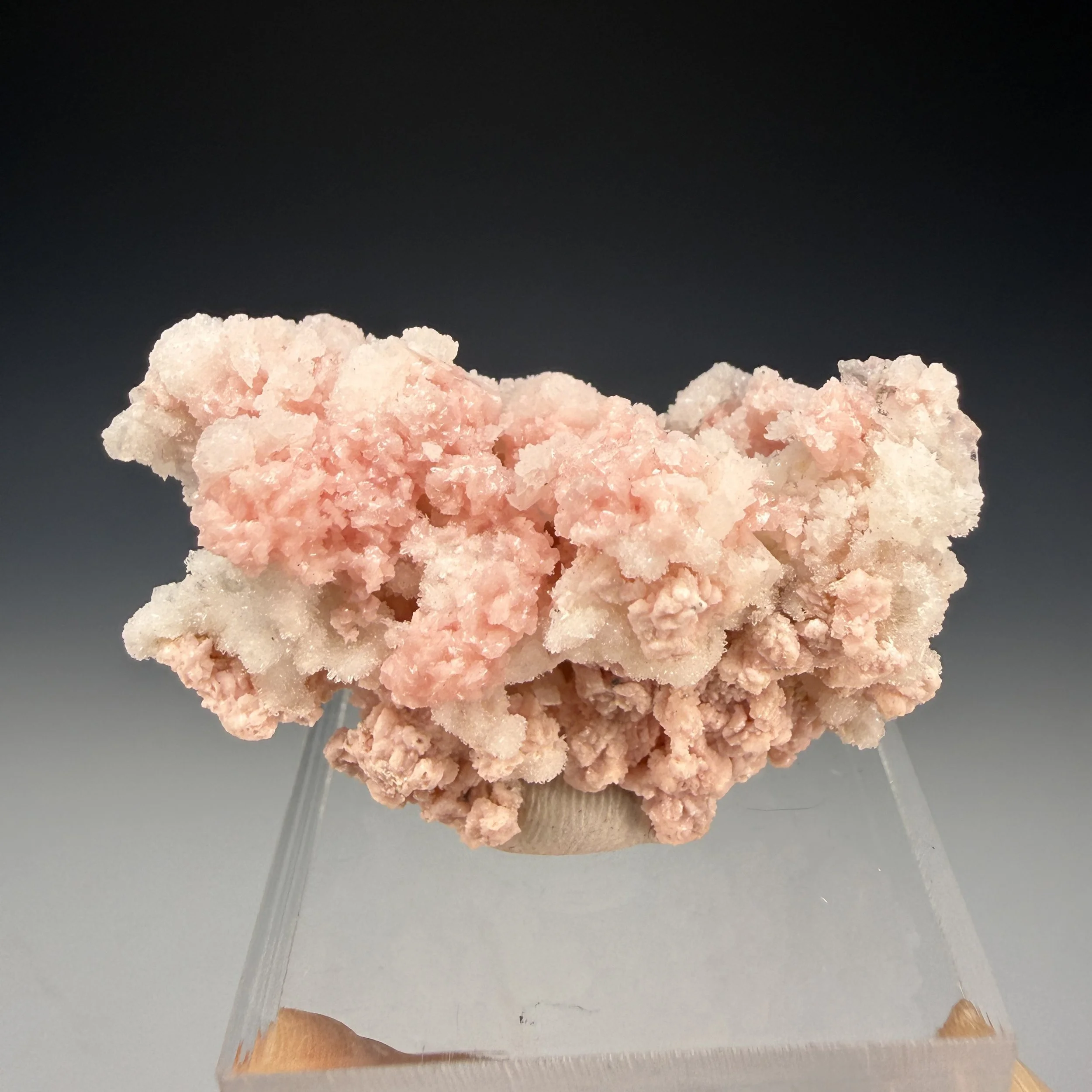 Rhodochrosite, Quartz, American Tunnel Mine, Eureka Dist., San Juan Co., Colorado, USA