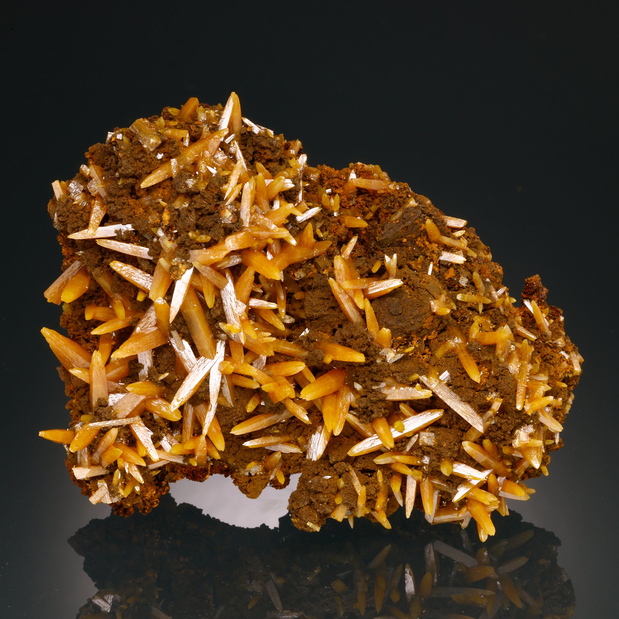 DanZellnerMineralPhotos4.26-3700.jpg