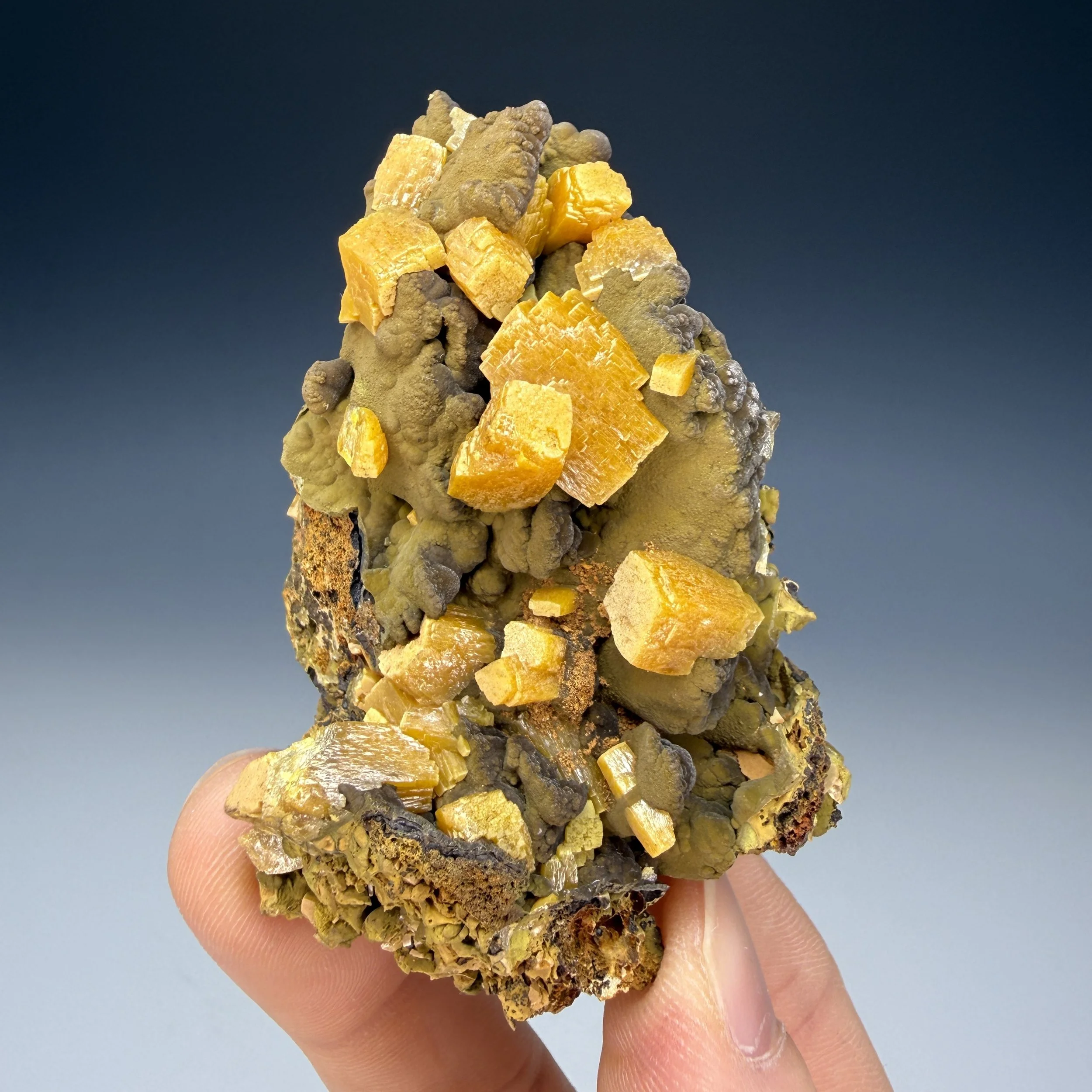Wulfenite, Mottramite, 7 Lvl. America Poniente, Ojuela, Mapimi, Mapimi Municipality, Durango, Mexico
