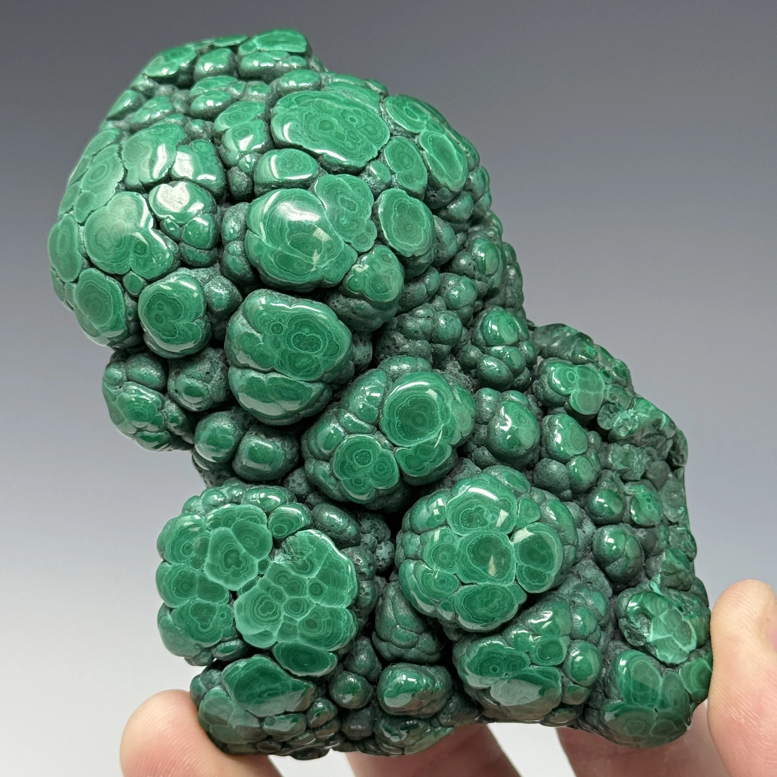Malachite, Mashamba West Mine, Kolwezi Mining District, Lualaba, D.R. Congo