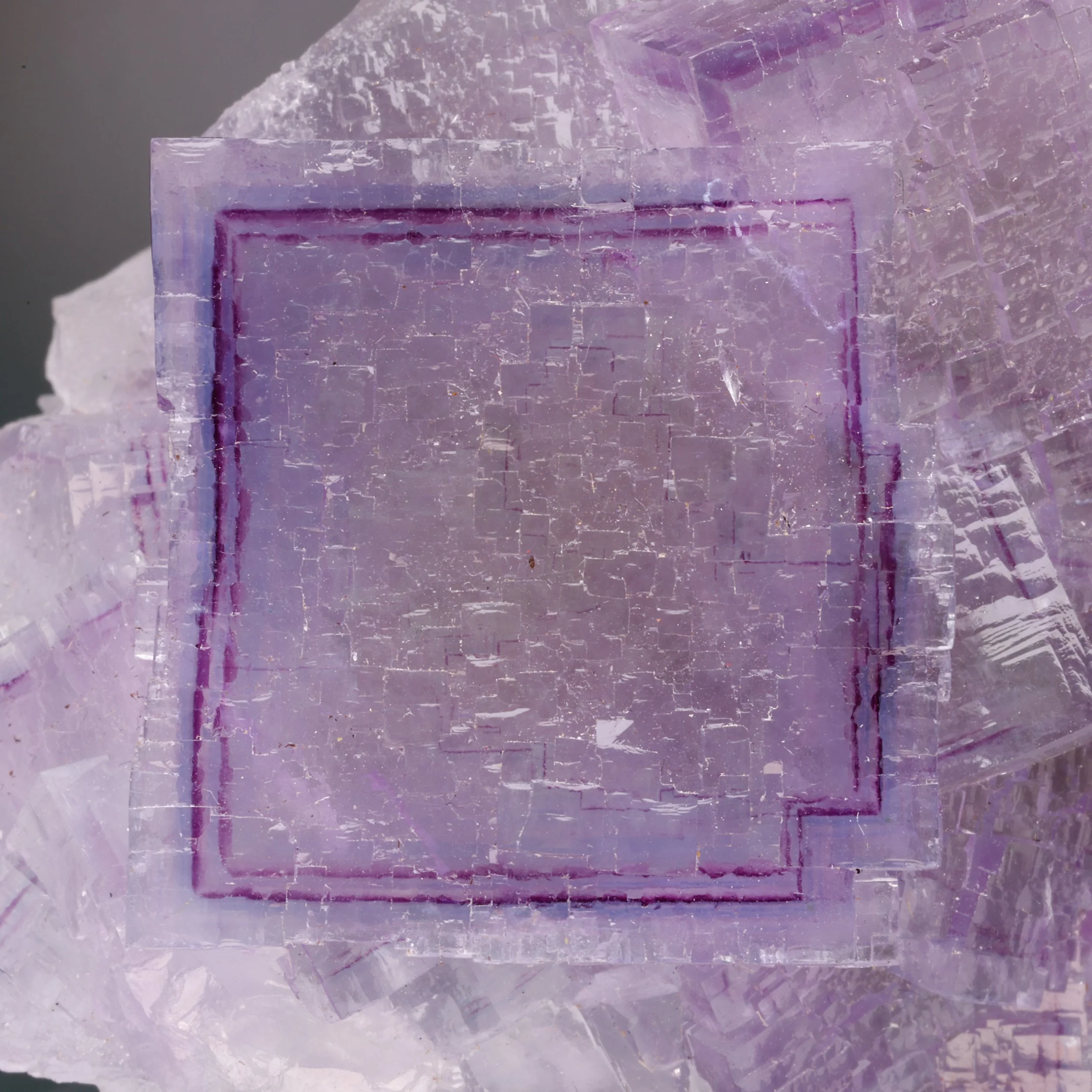 DanZellnerMineralPhotos7.15-4284.jpg