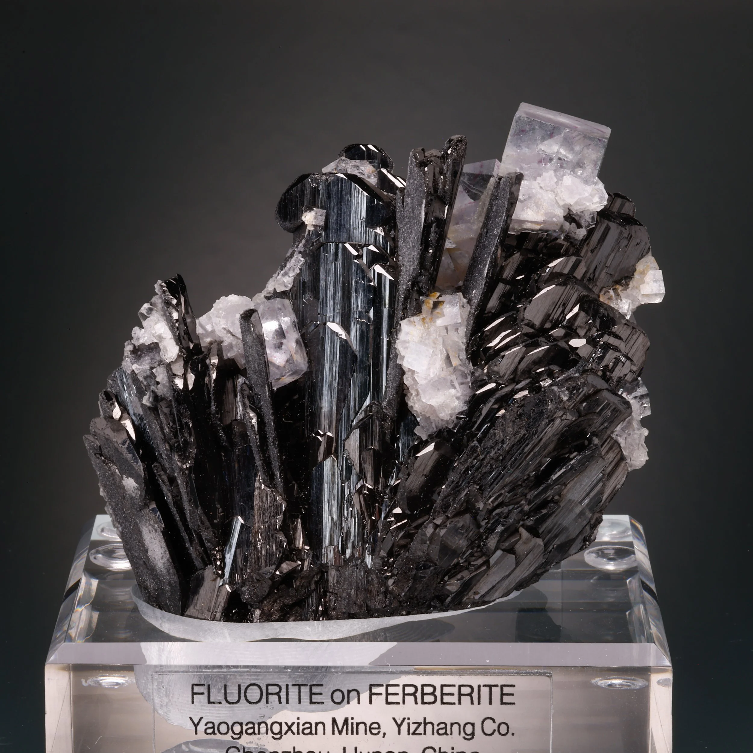Fluorite, Ferberite, Yaogangxian Mine, Yizhang Co., Chenzhou, Hunan, China