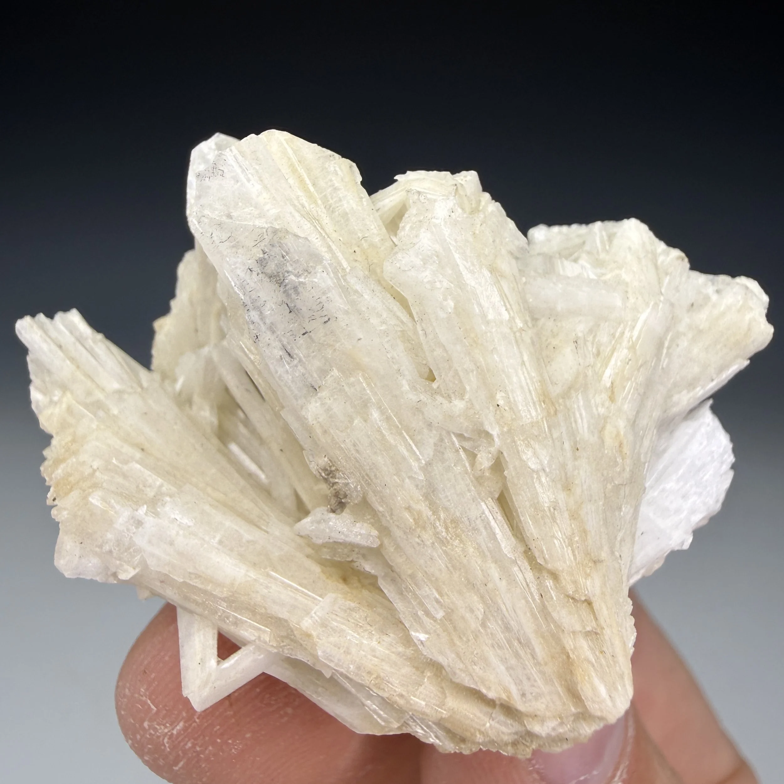 Cerussite, Mammoth Mining Dist., Pinal Co., Arizona, USA