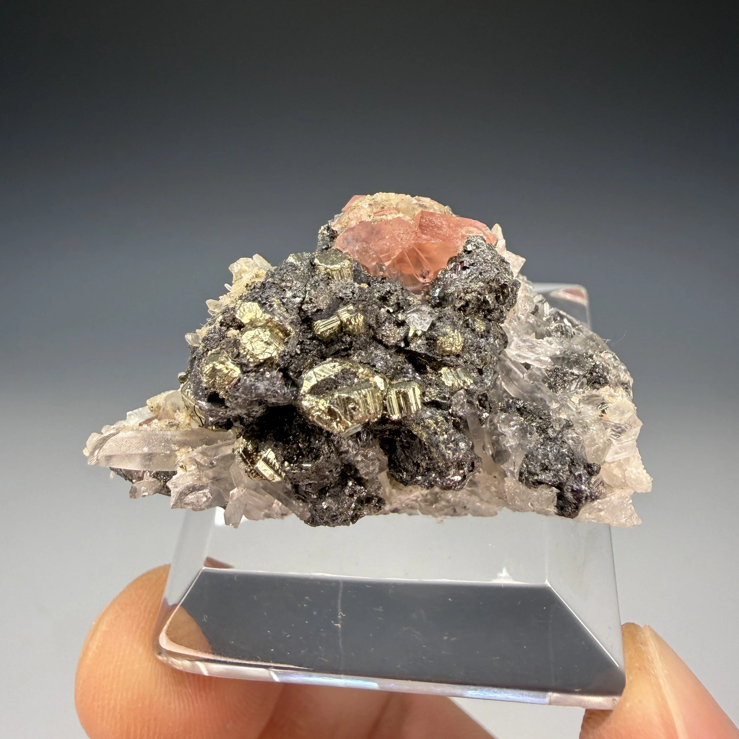 Rhodochrosite, Quartz, Pyrite, Tetrahedrite, Sweet Home Mine, Alma Mining Dist., Park Co., Colorado, USA