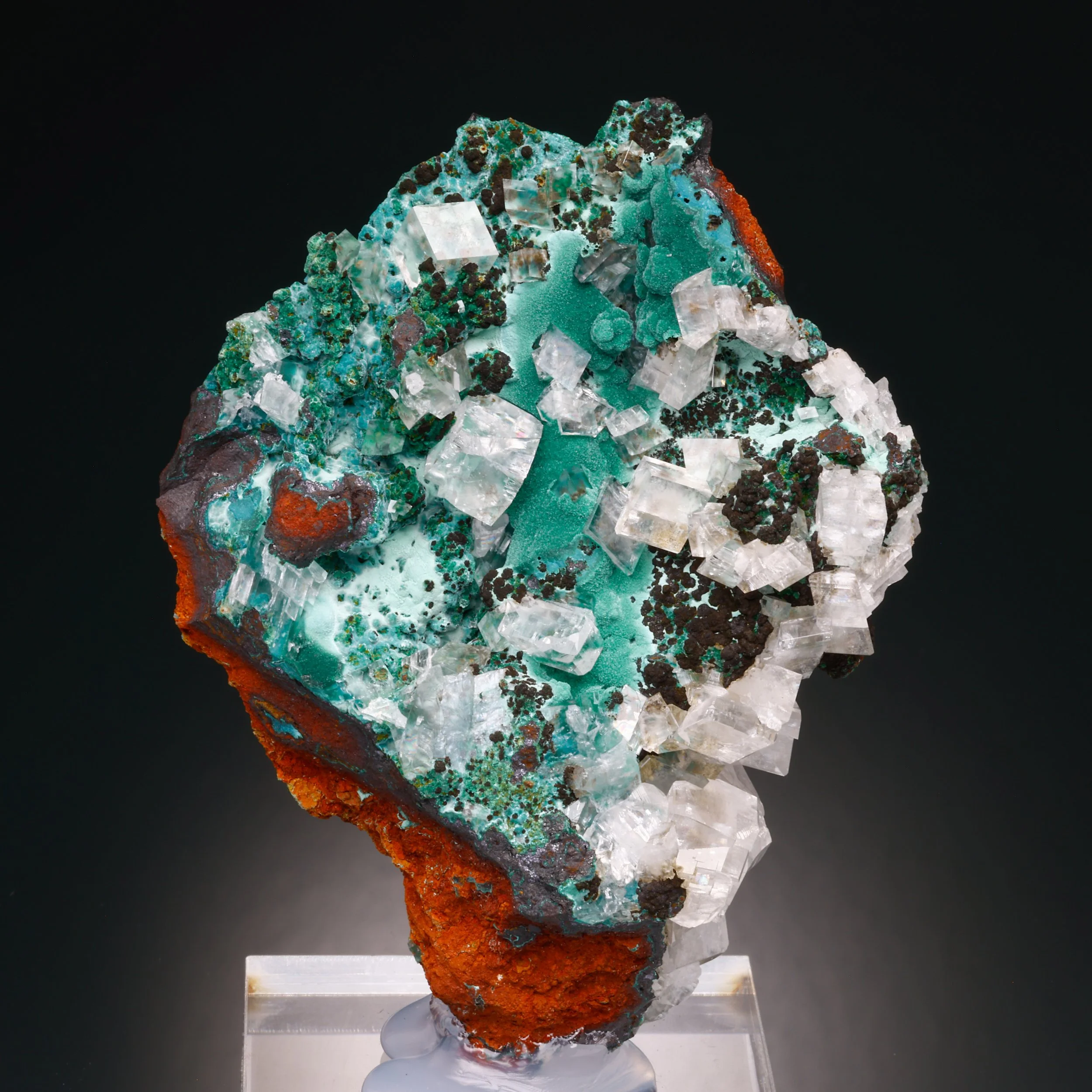 DanZellnerMineralPhotos4.26-3699.jpg