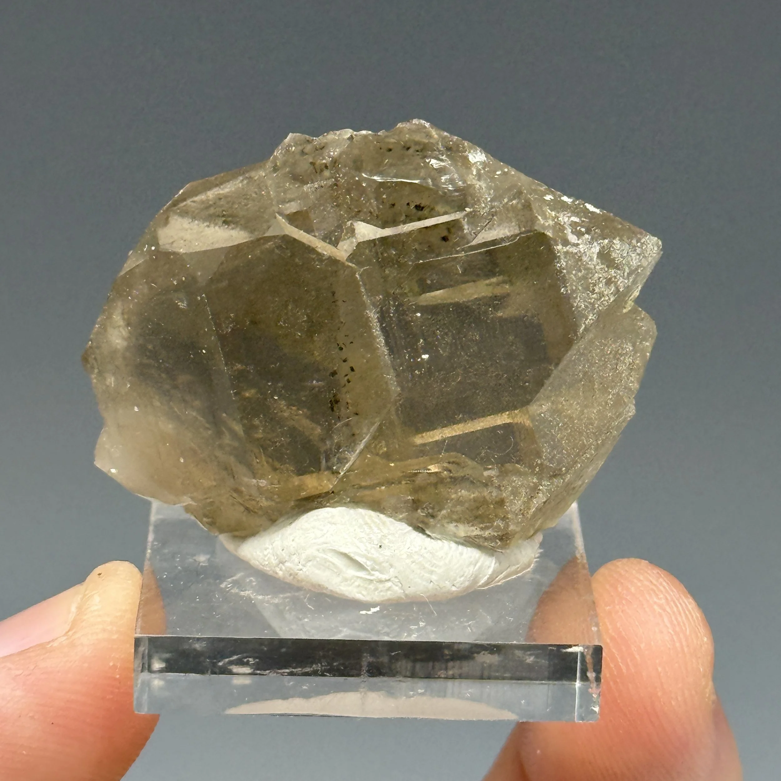 Smoky Quartz, Gwindel, Dente del Gigante, Mont-Blanc, Bonneville, Savoie, Auvergne-Rhone-Alpes, France