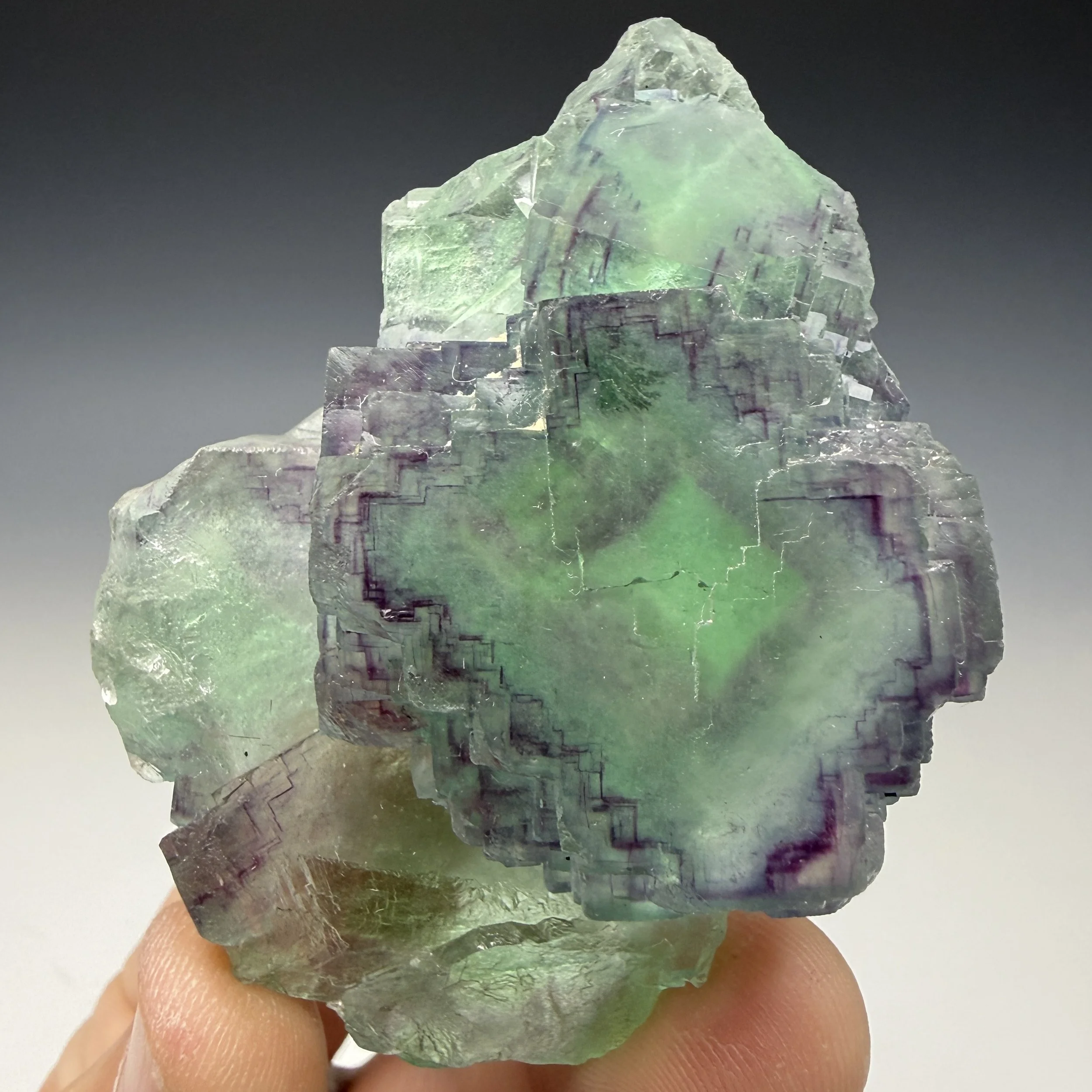 Fluorite, Okorusu Mine, Otjiwarongo, Otjozondjupa, Namibia