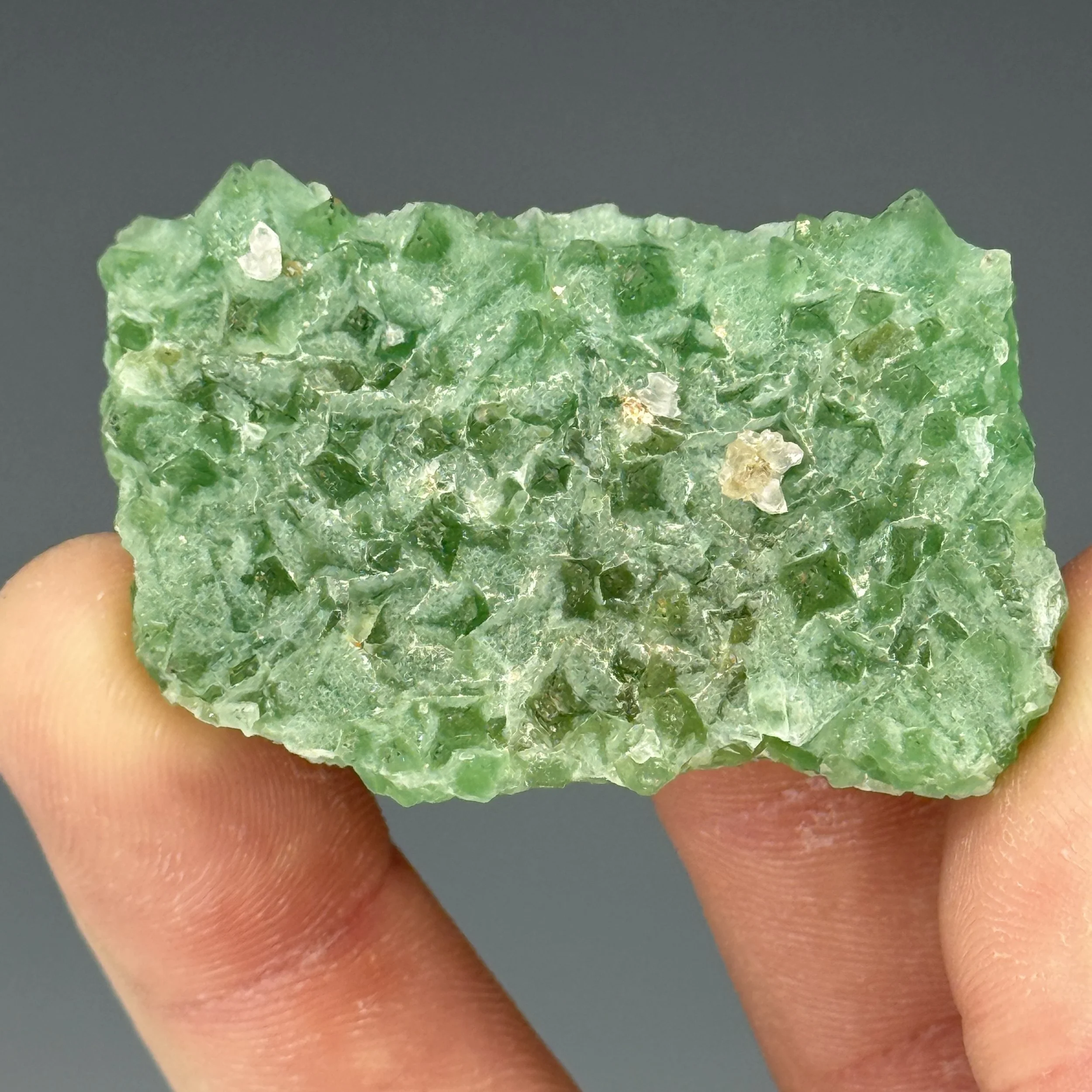 Fluorite, Amethyst, Nancy Hanks Mine, Unaweep Canyon, Mesa County, Colorado, USA