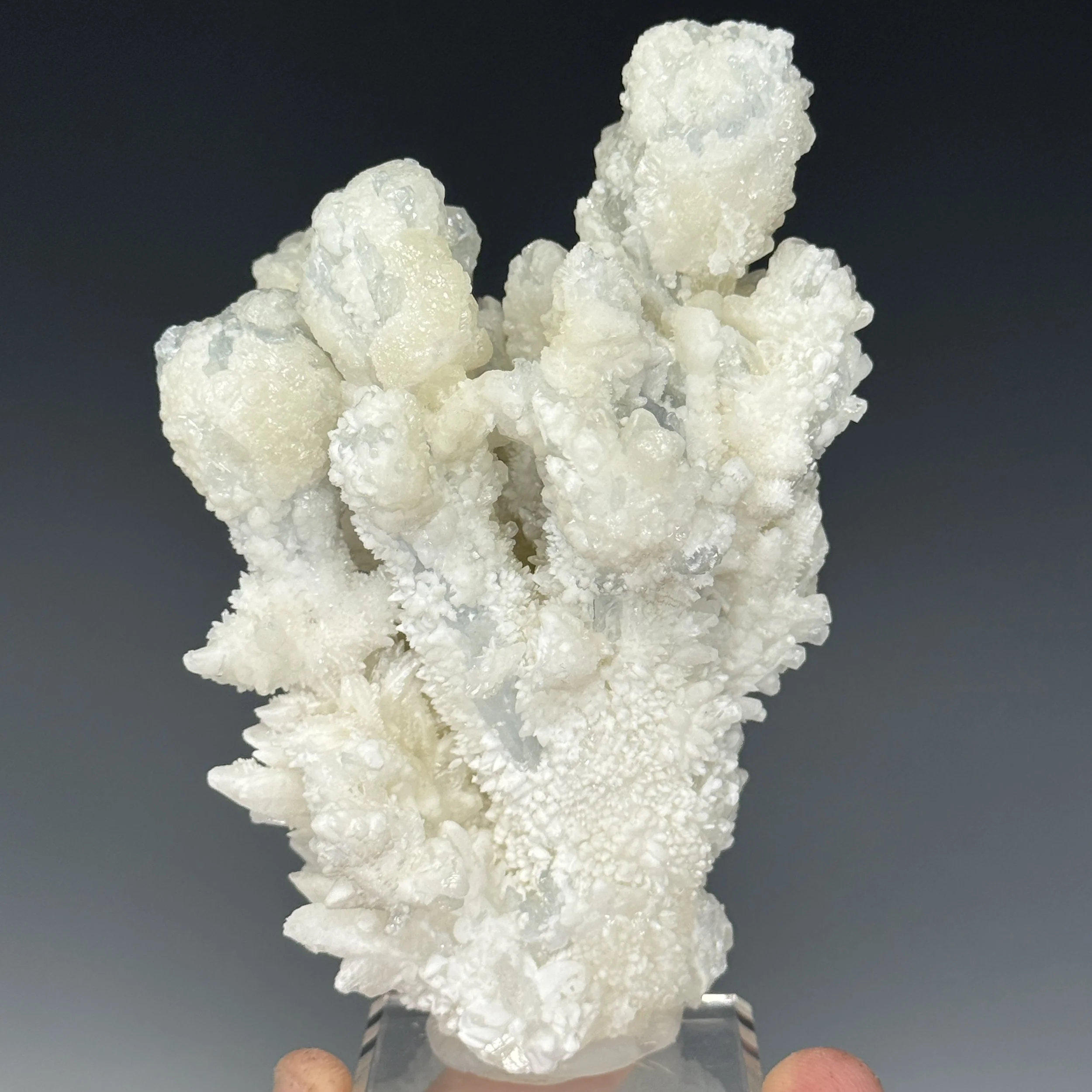 Celestite, Calcite, Mojina Mine, Buenaventura Mun., Chihuahua, Mexico