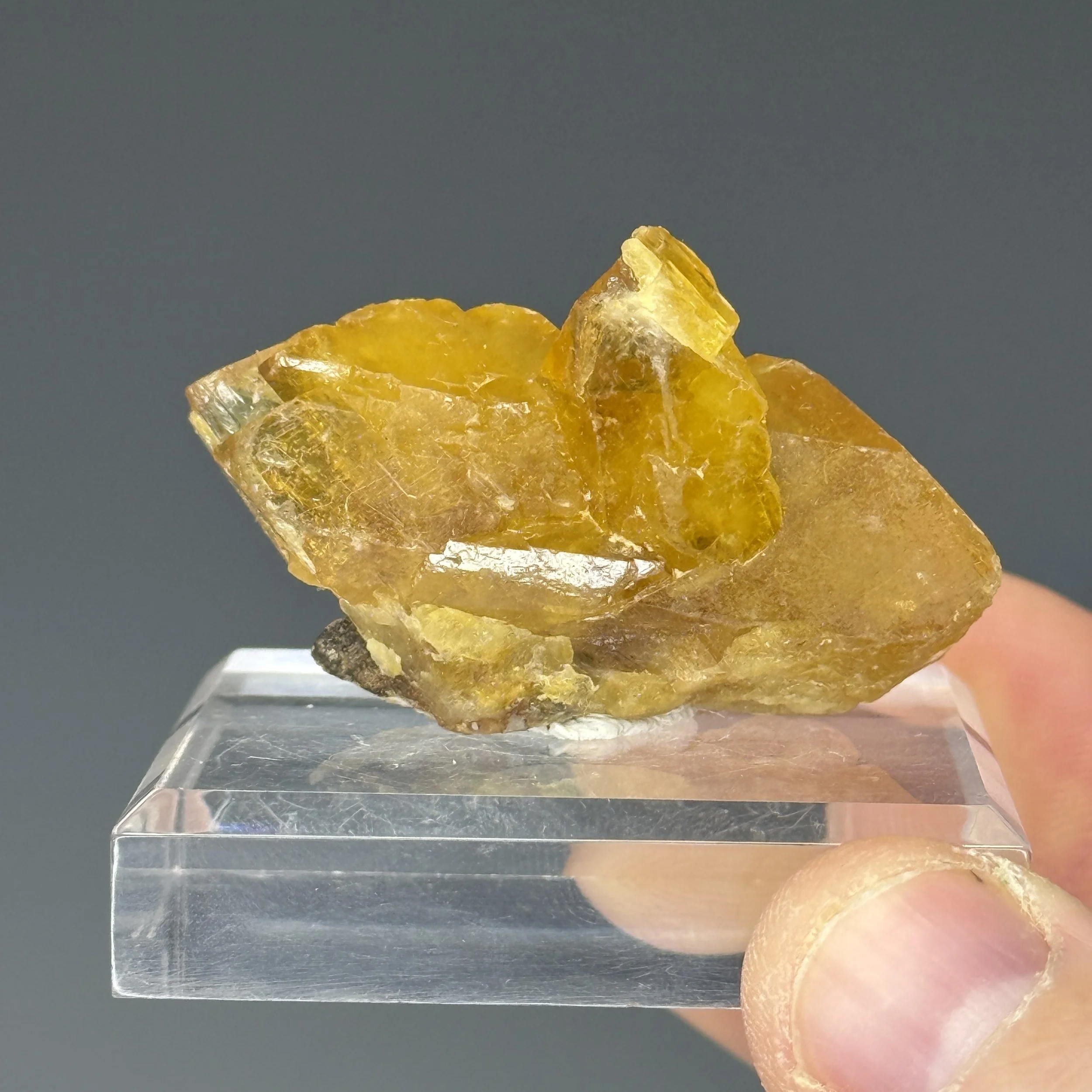 Baryte, Pohla-Tellerhauser Mine, Schwarzenberg, Erzgebirgskreis, Saxony, Germany