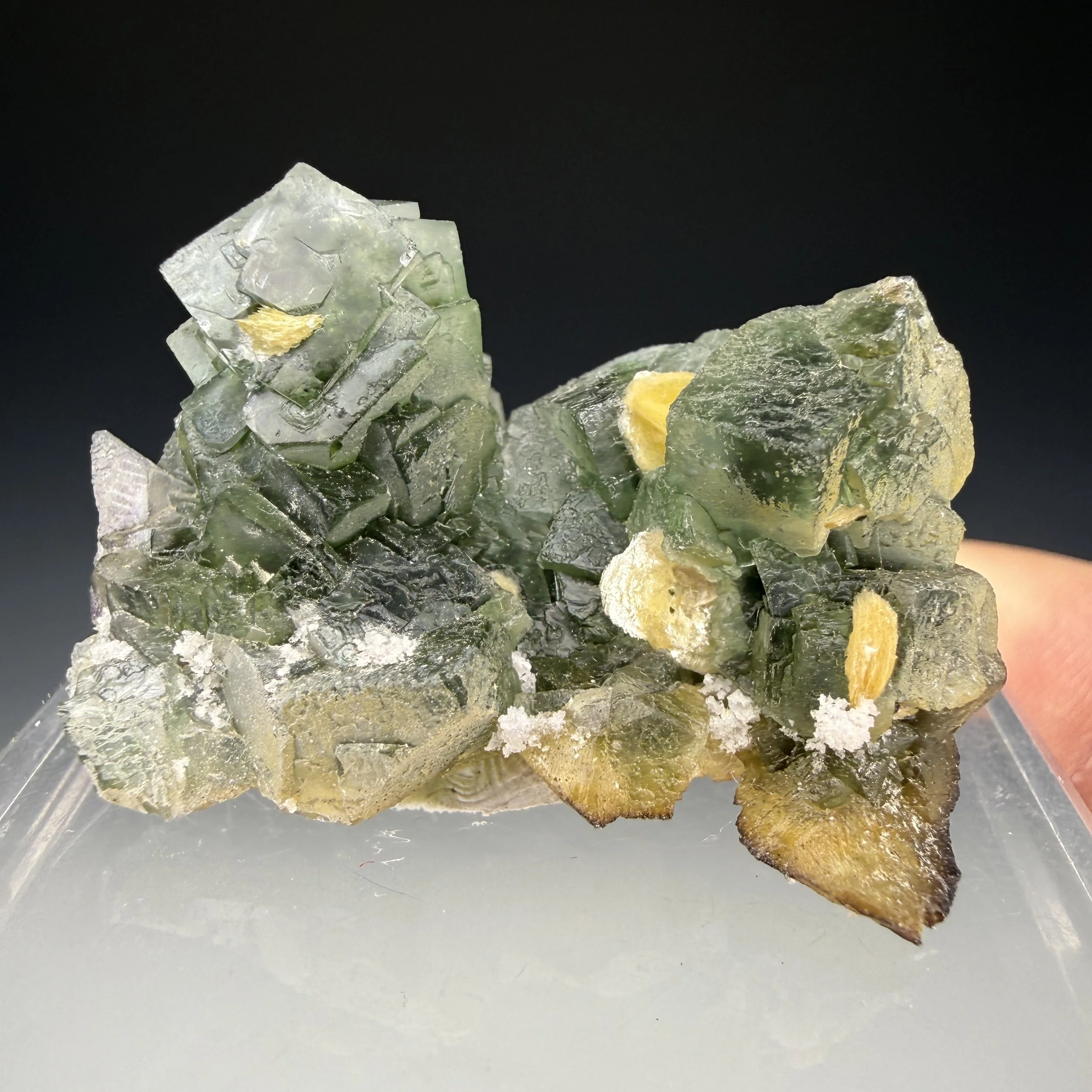 Fluorite, Muscovite, Erongo Mountains, Karbib District, Erongo Region, Namibia
