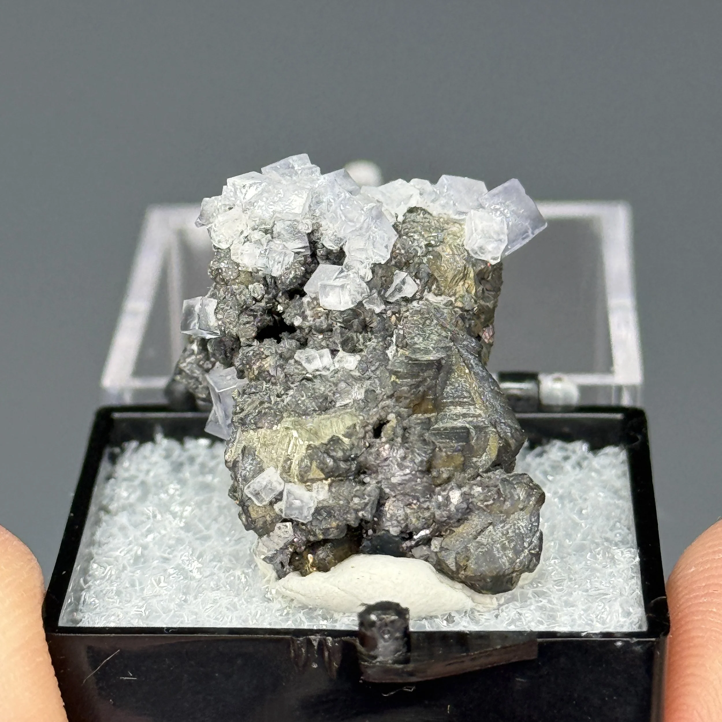 Chalcopyrite, Fluorite, Sphalerite, Sweet Home Mine, Alma Mining Dist., Park Co., Colorado, USA