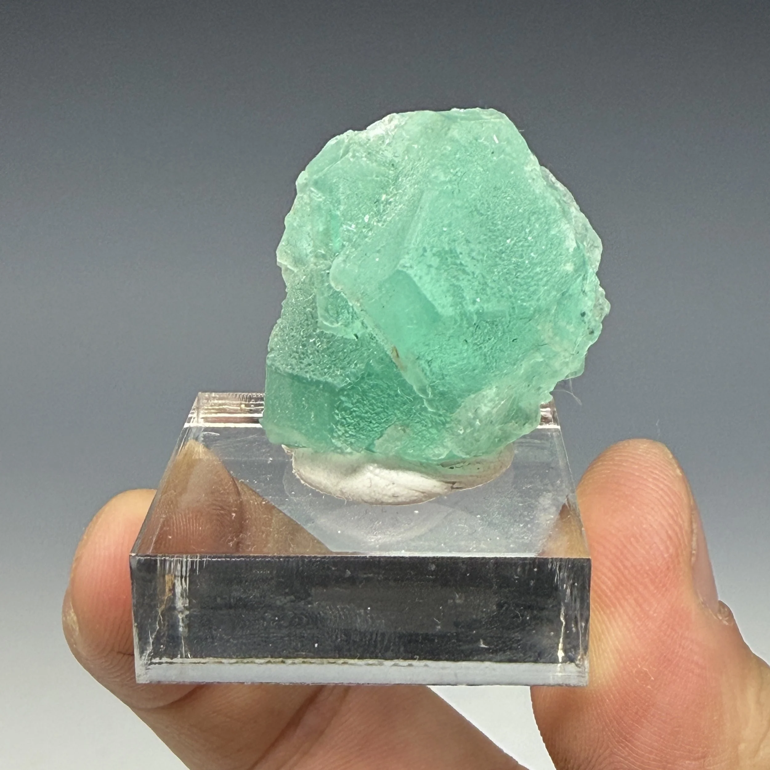 Fluorite, Milpo Mine, Atachocha District, Pasco Peru