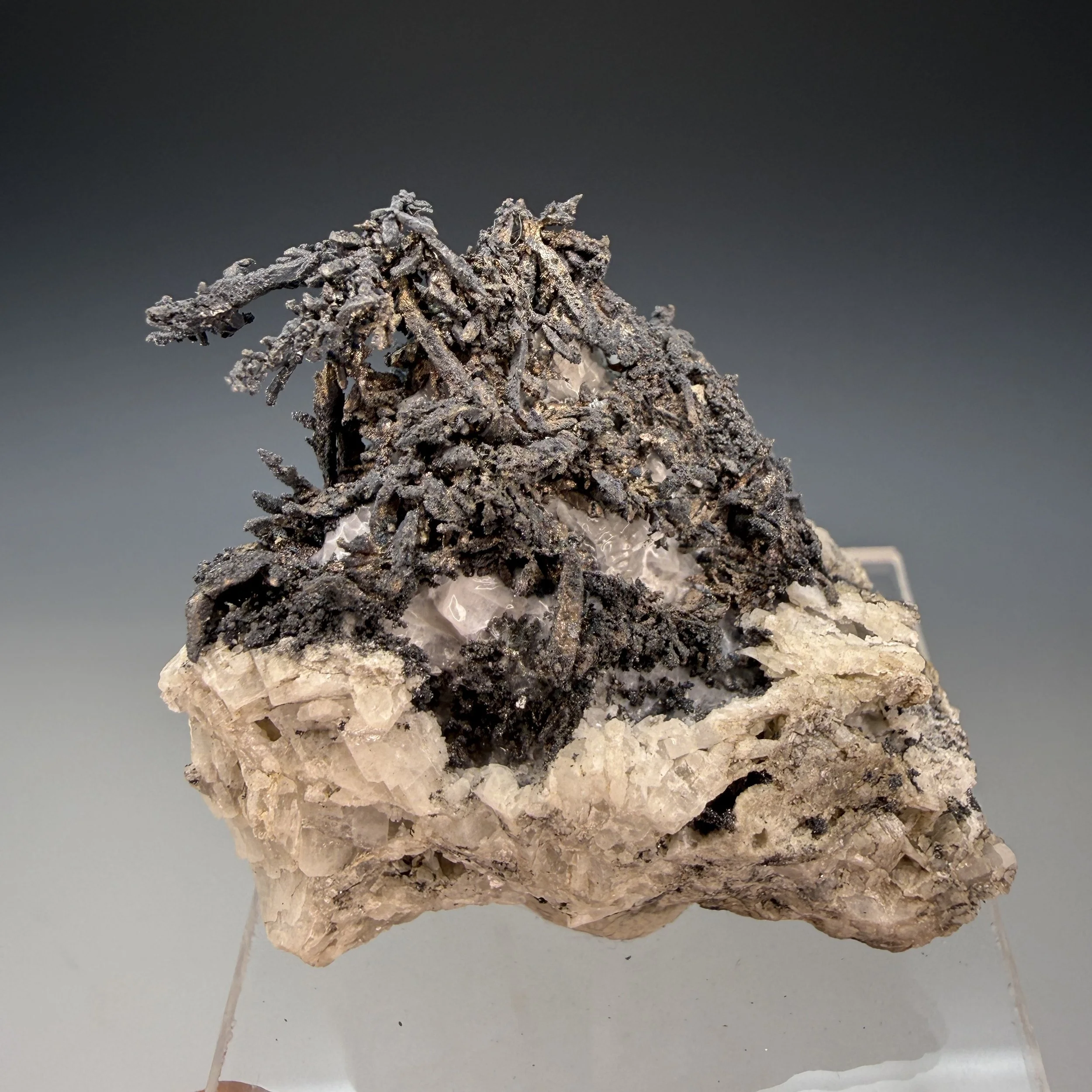 Silver, New Nevada Mine, Batopilas, Chihuahua, Mexico