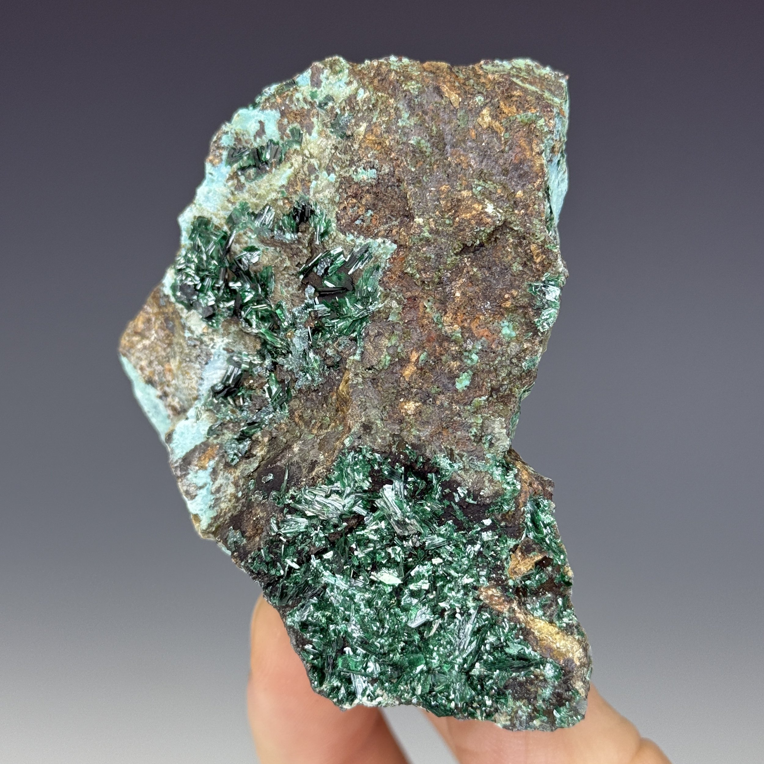 Atacamite, La Farola Mine, Tierra Amarilla, Copiapo Prov., Atacama, Chile