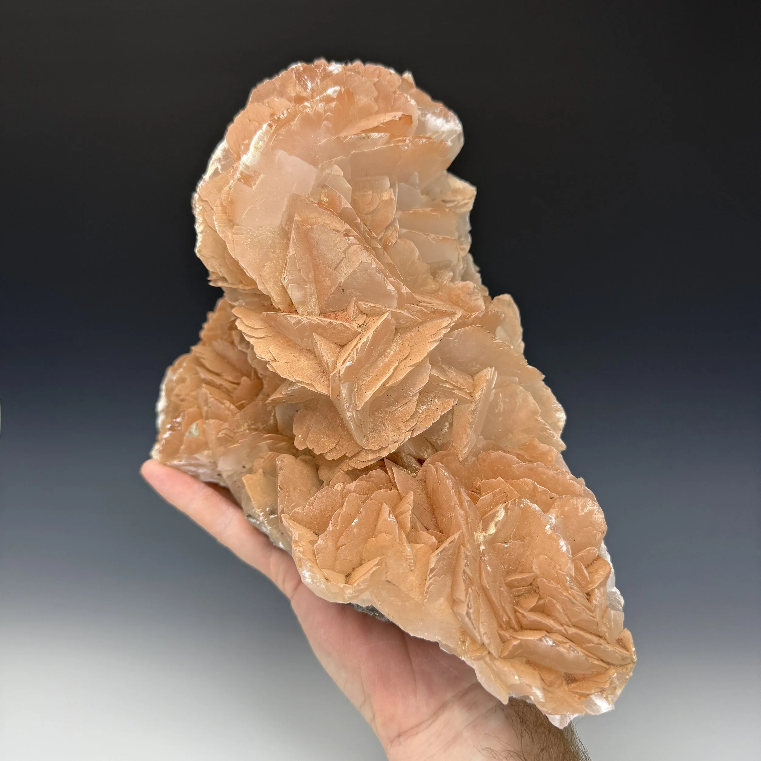 IMG_E5732.JPG (Copy)