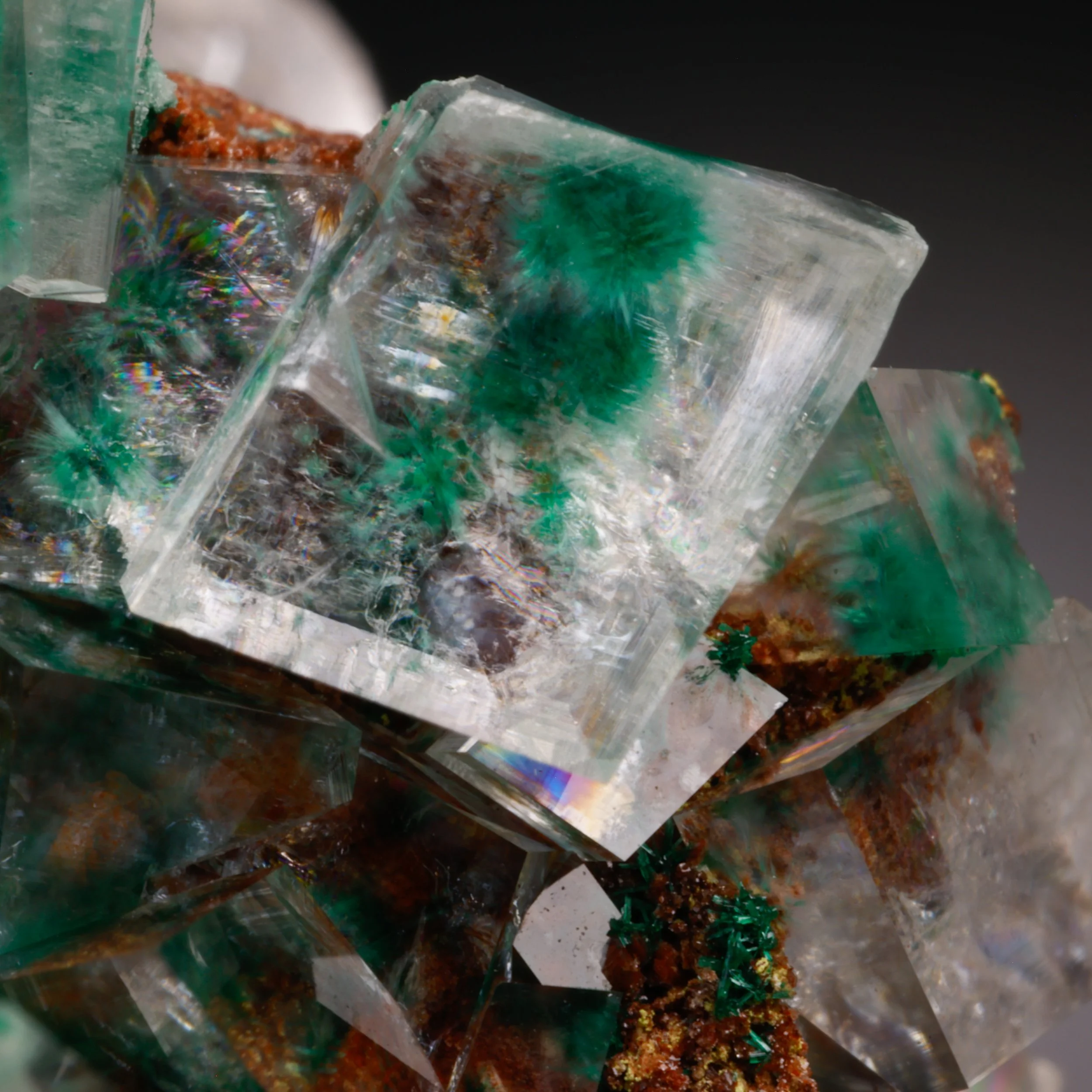 DanZellnerMineralPhotos4.26-3739.jpg