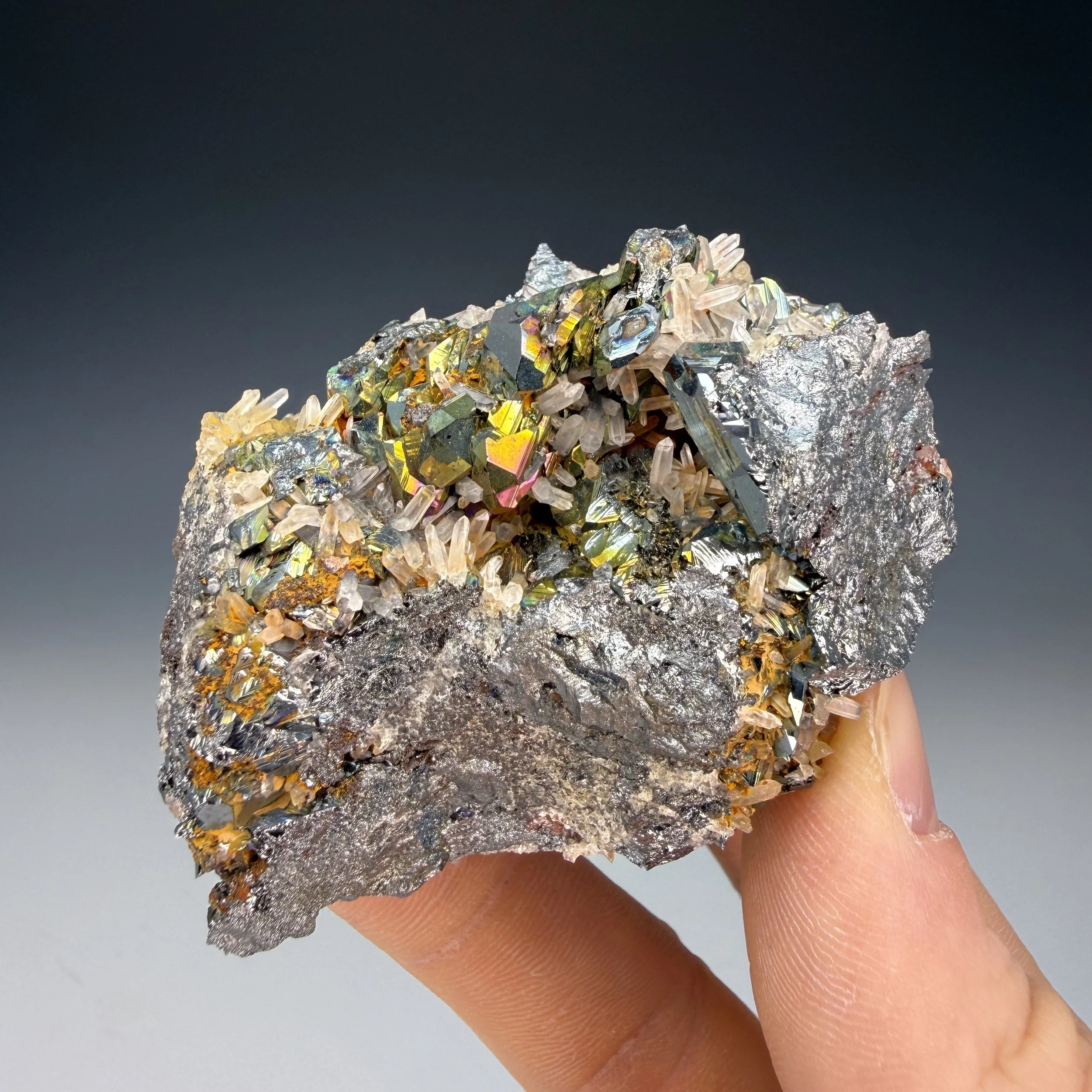 Hematite Iridescent, Quartz, Bacino stope, Rio Mine, Rio, Livorno Province, Tuscany, Italy