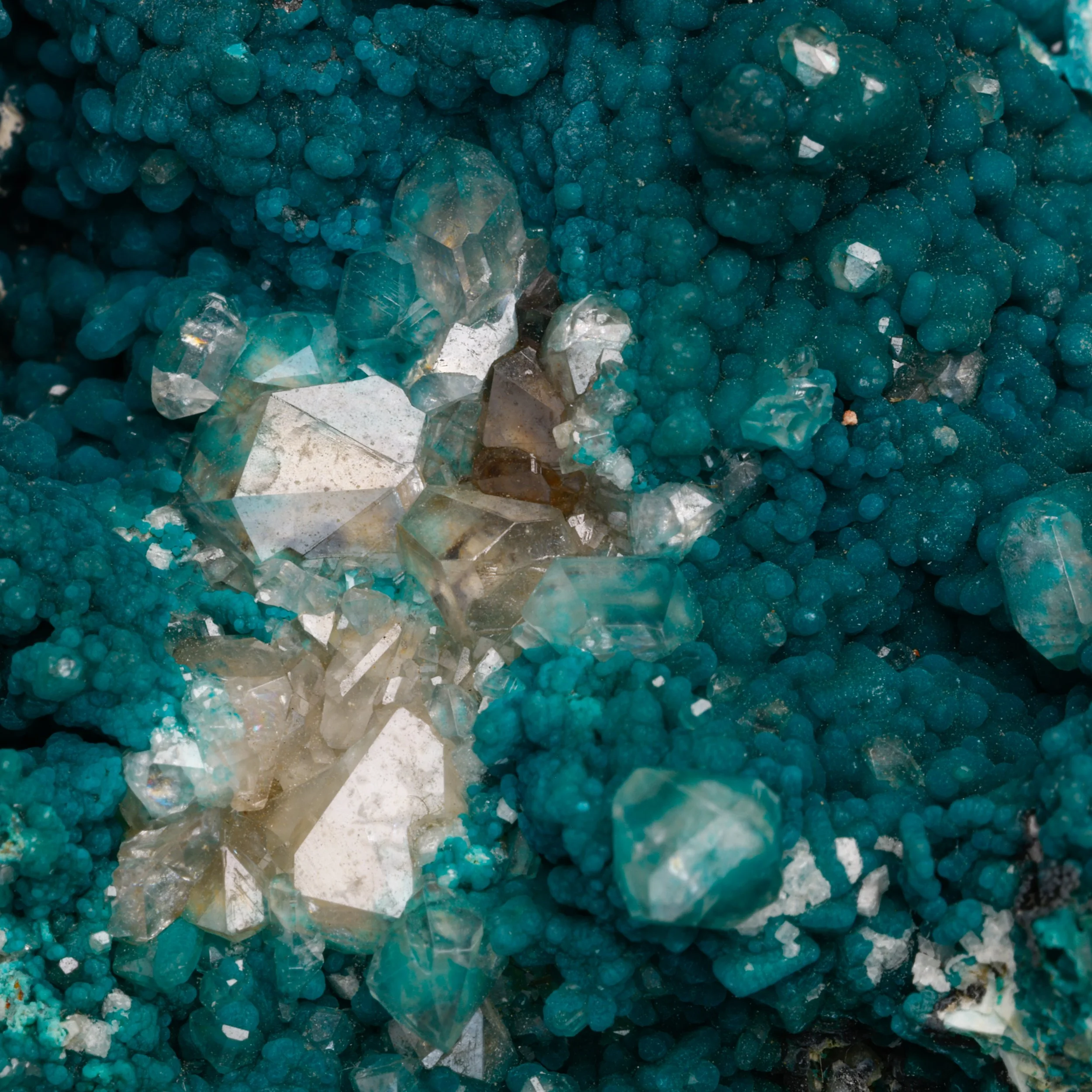 DanZellnerMineralPhotos5.19-3910.jpg