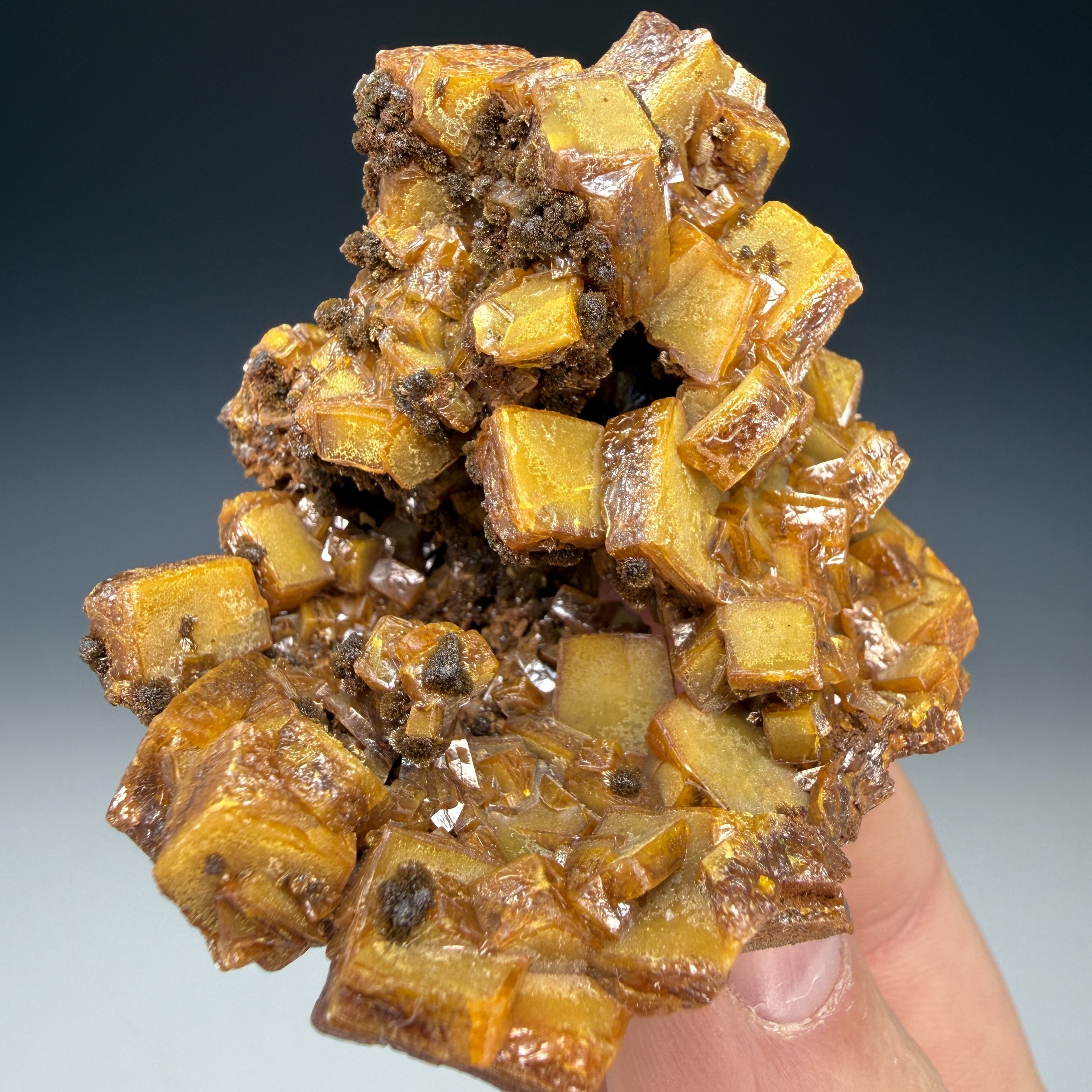Wulfenite, Erupcio n Mine, Los Lamentos Mts, Ahumada, Chihuahua, Mexico
