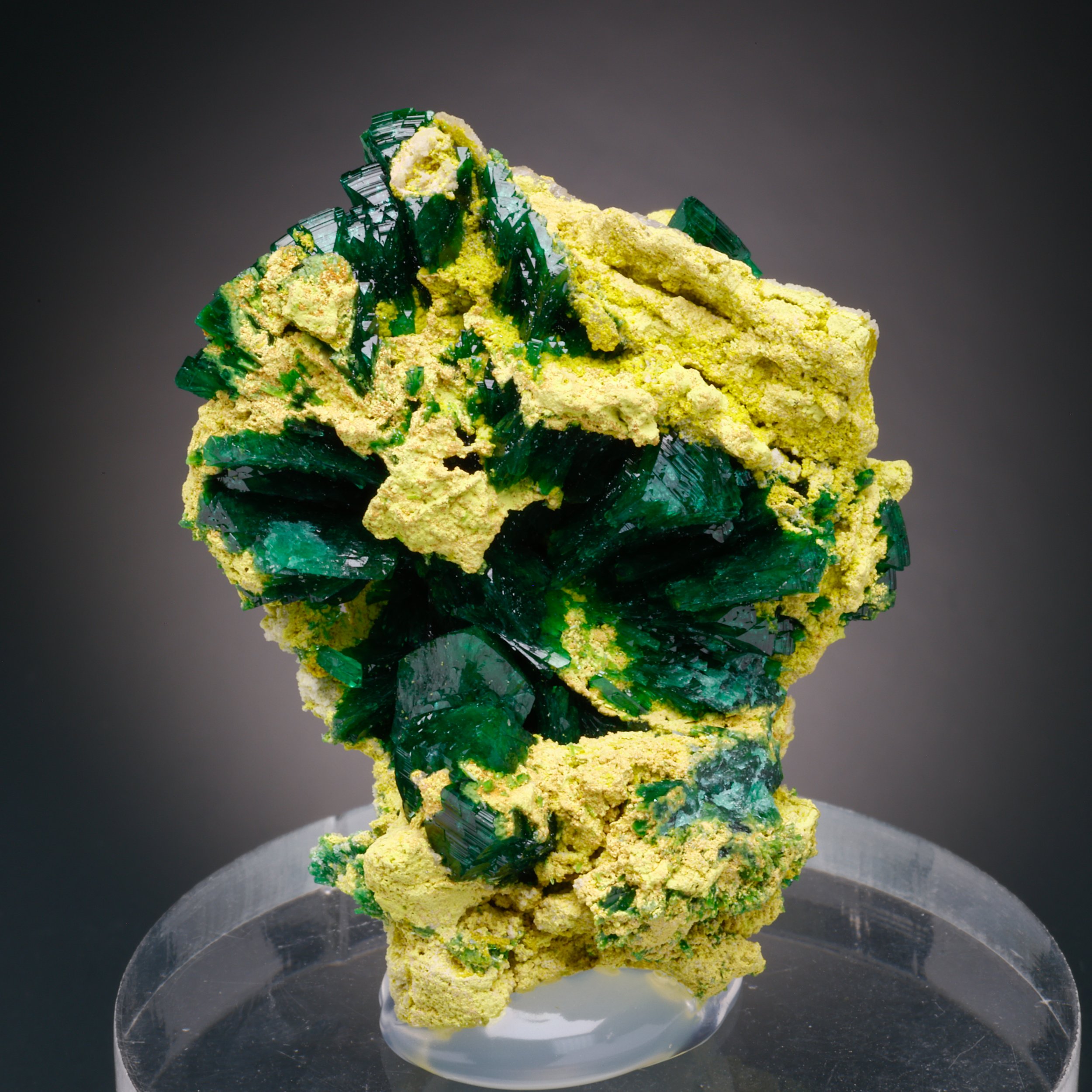 Ferrilotharmeyerite, Zincolivenite, Tsumeb Mine, Oshikoto Region, Namibia