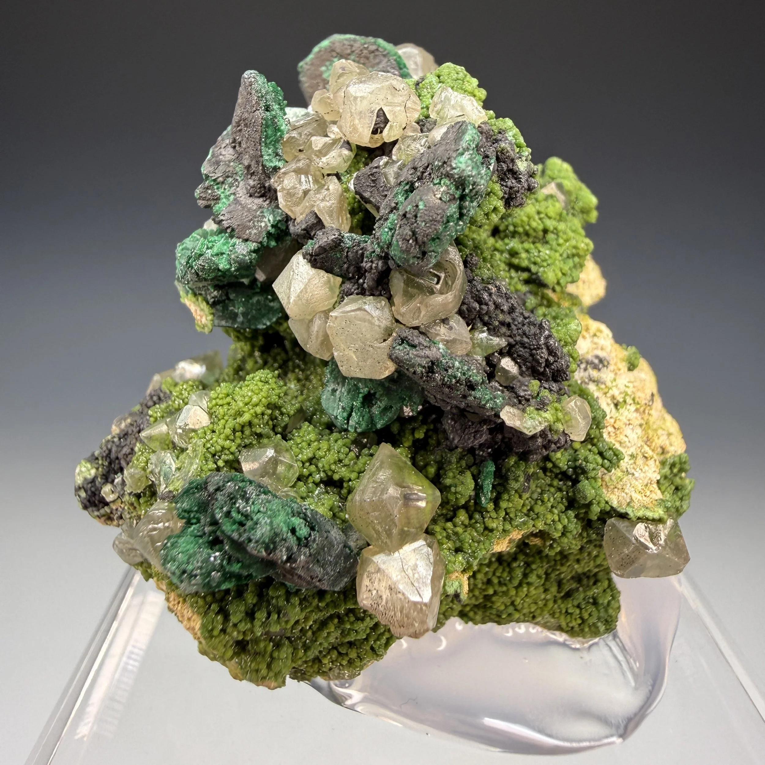 Duftite, Cerussite, Malachite, Tsumeb Mine, Oshikoto Region, Namibia