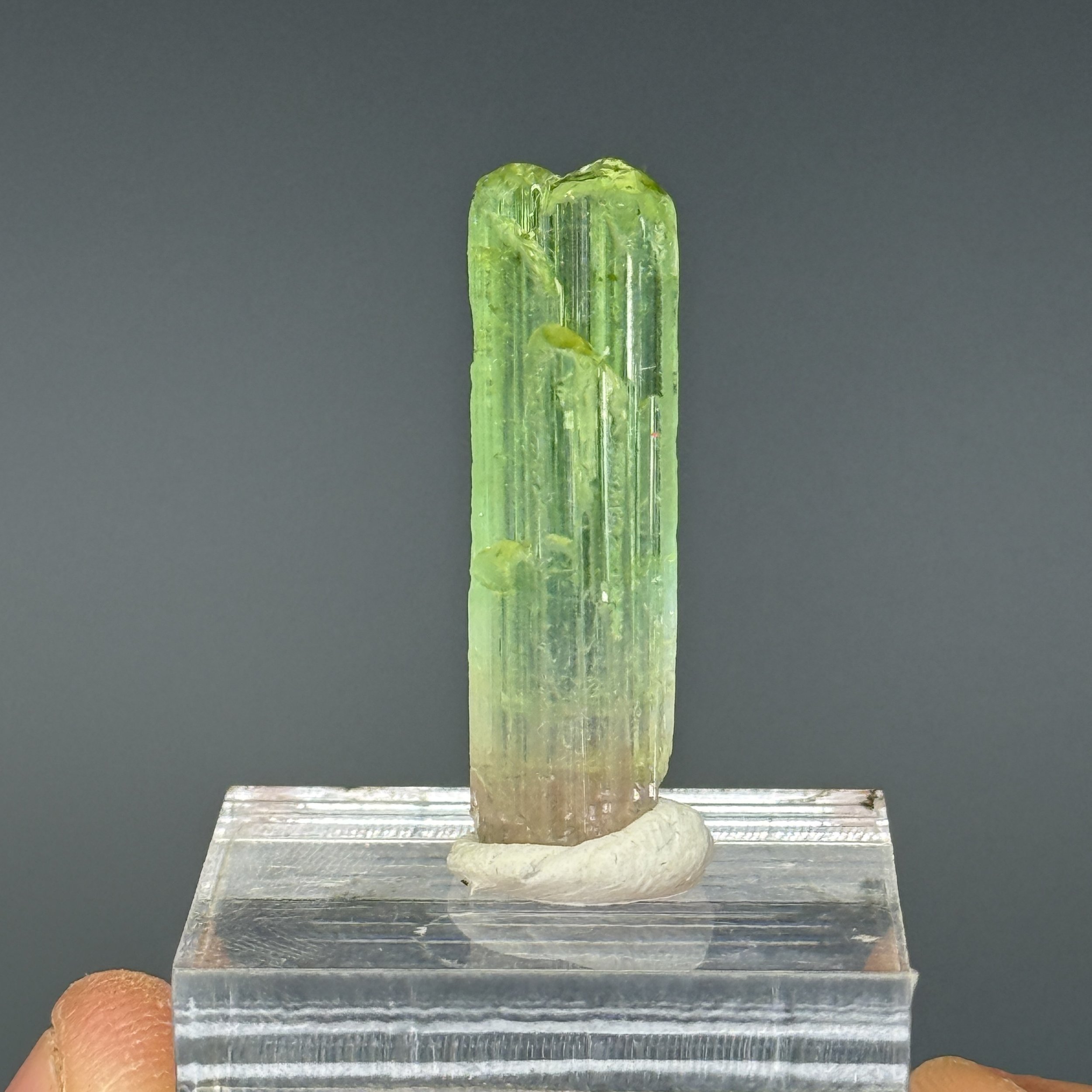 Tourmaline, Rubaya, Bahunde, Masisi Territory, North Kivu, DR Congo