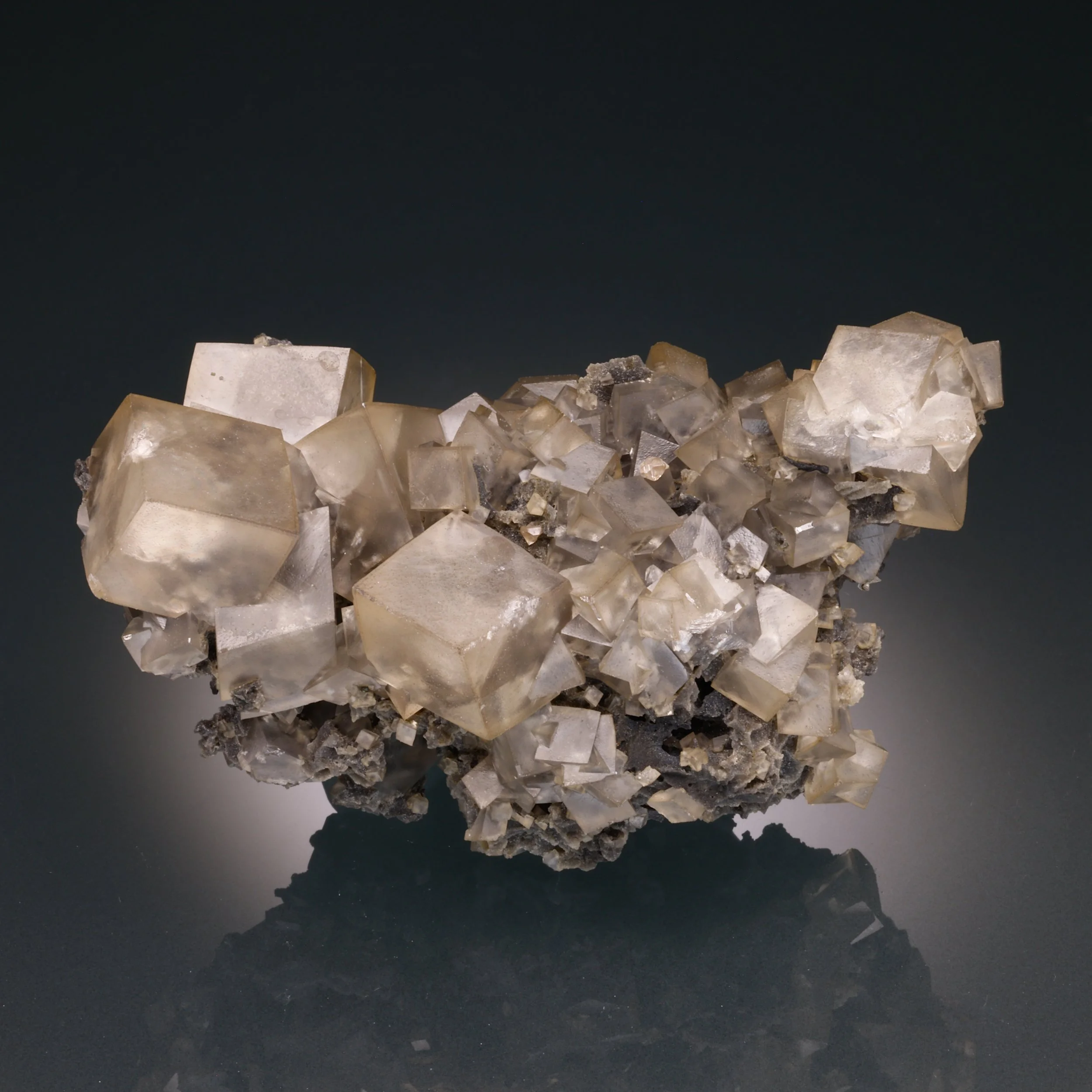 DanZellnerMineralPhotos5.19-4006.jpg