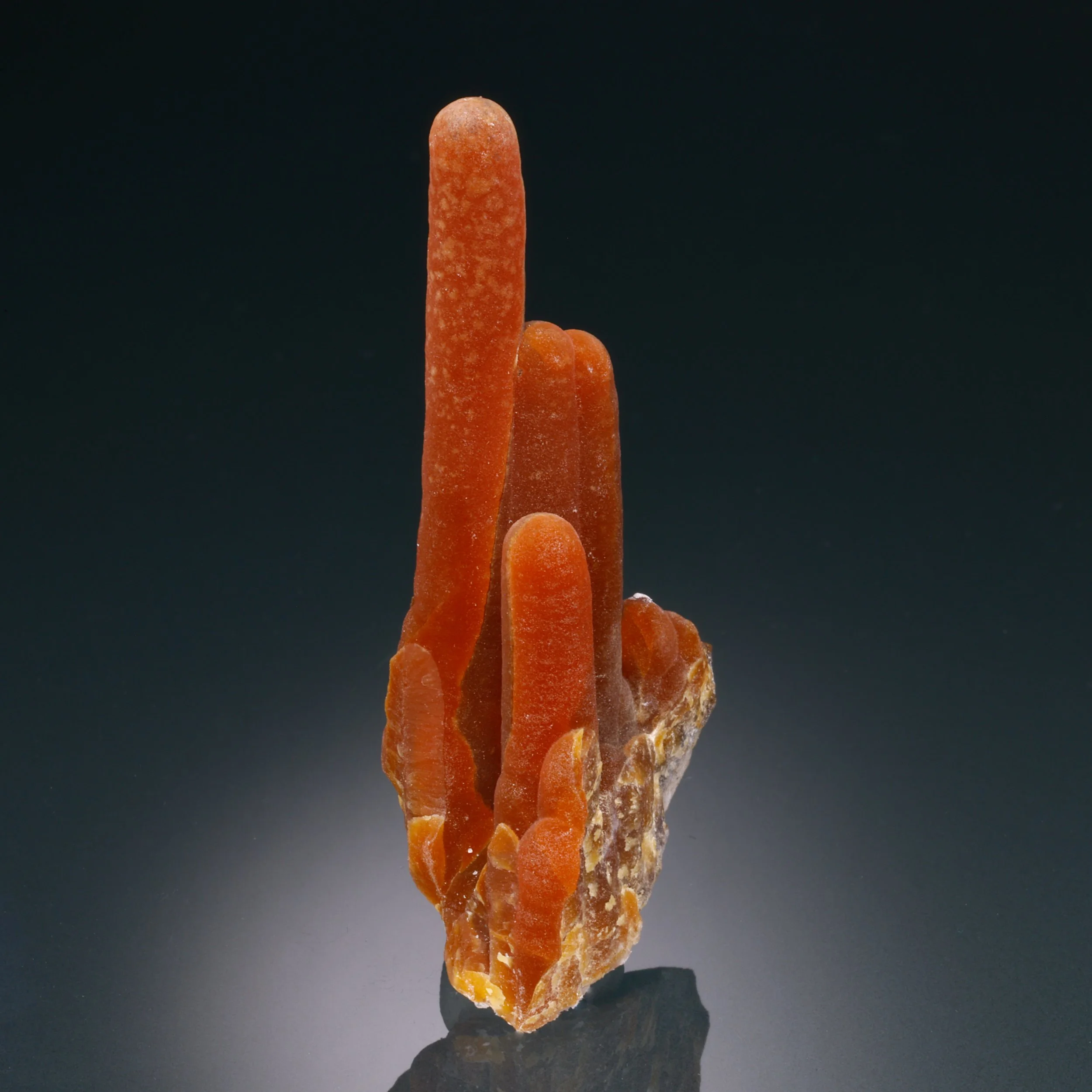 DanZellnerMineralsPhotos-3162.jpg