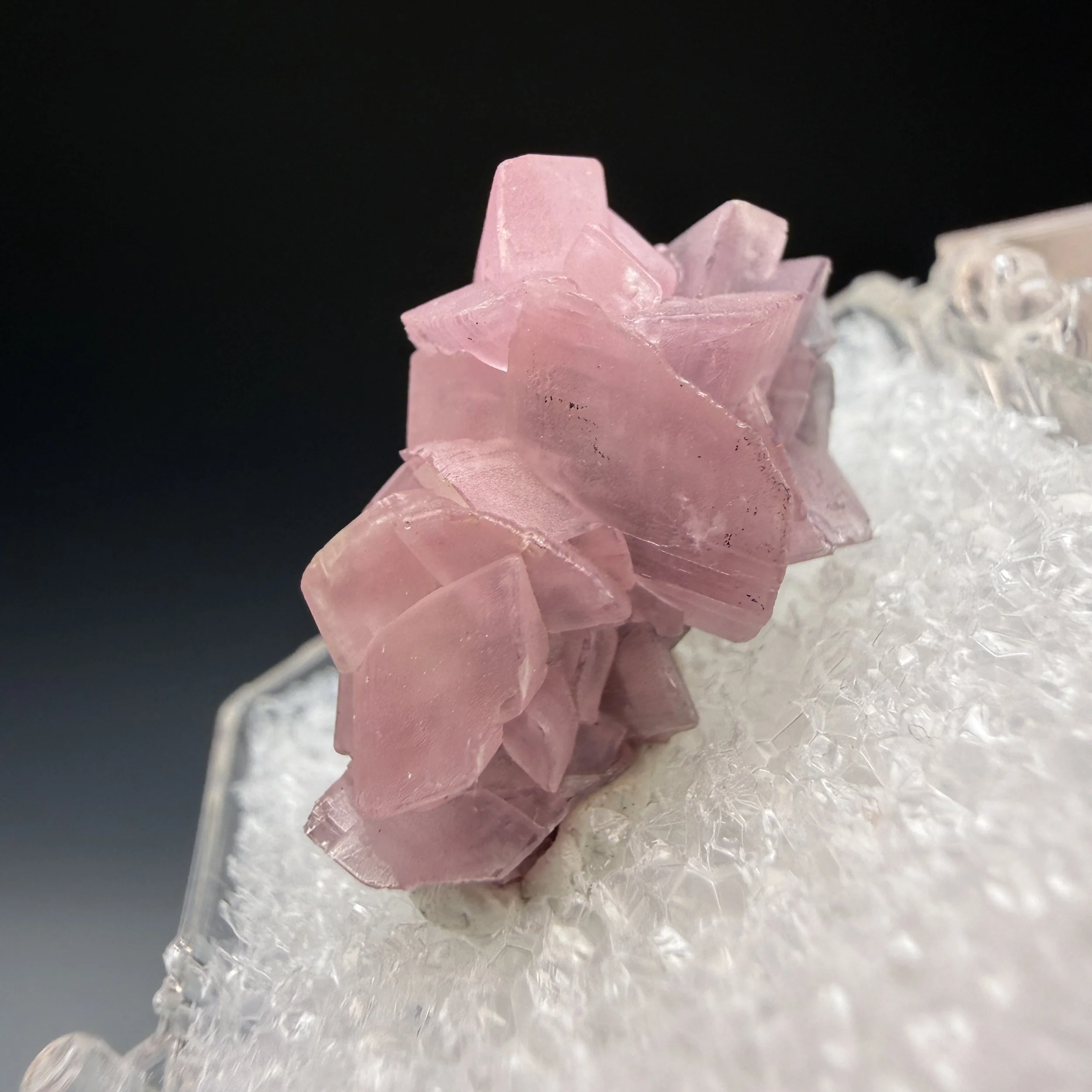 IMG_3839.JPEG