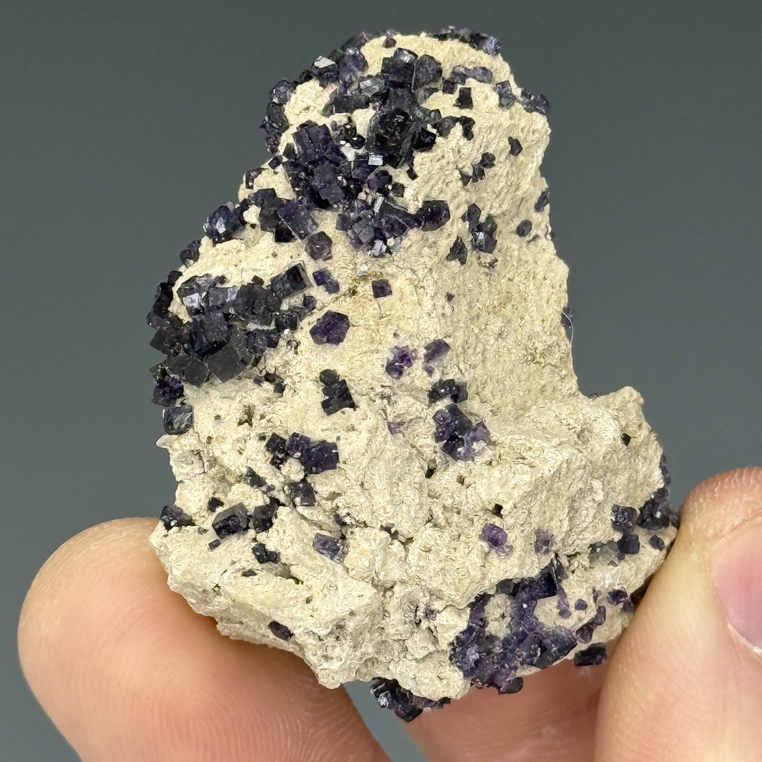 Fluorite, Marblehead Quarry, Ottawa County, Ohio, USA