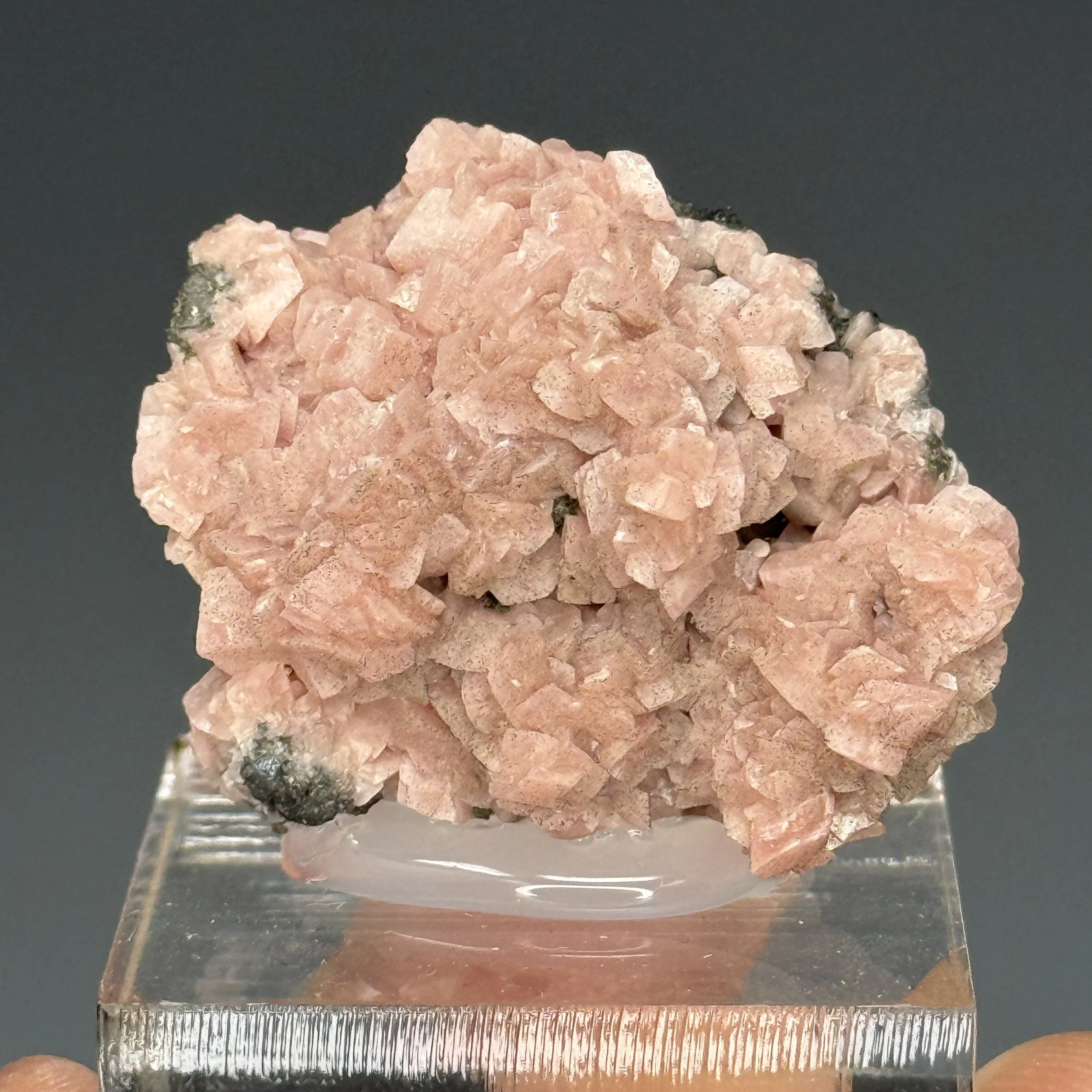 Rhodochrosite, Pyrite, Champion Mine, Cinnamon Pass, Hinsdale Co., Colorado, USA