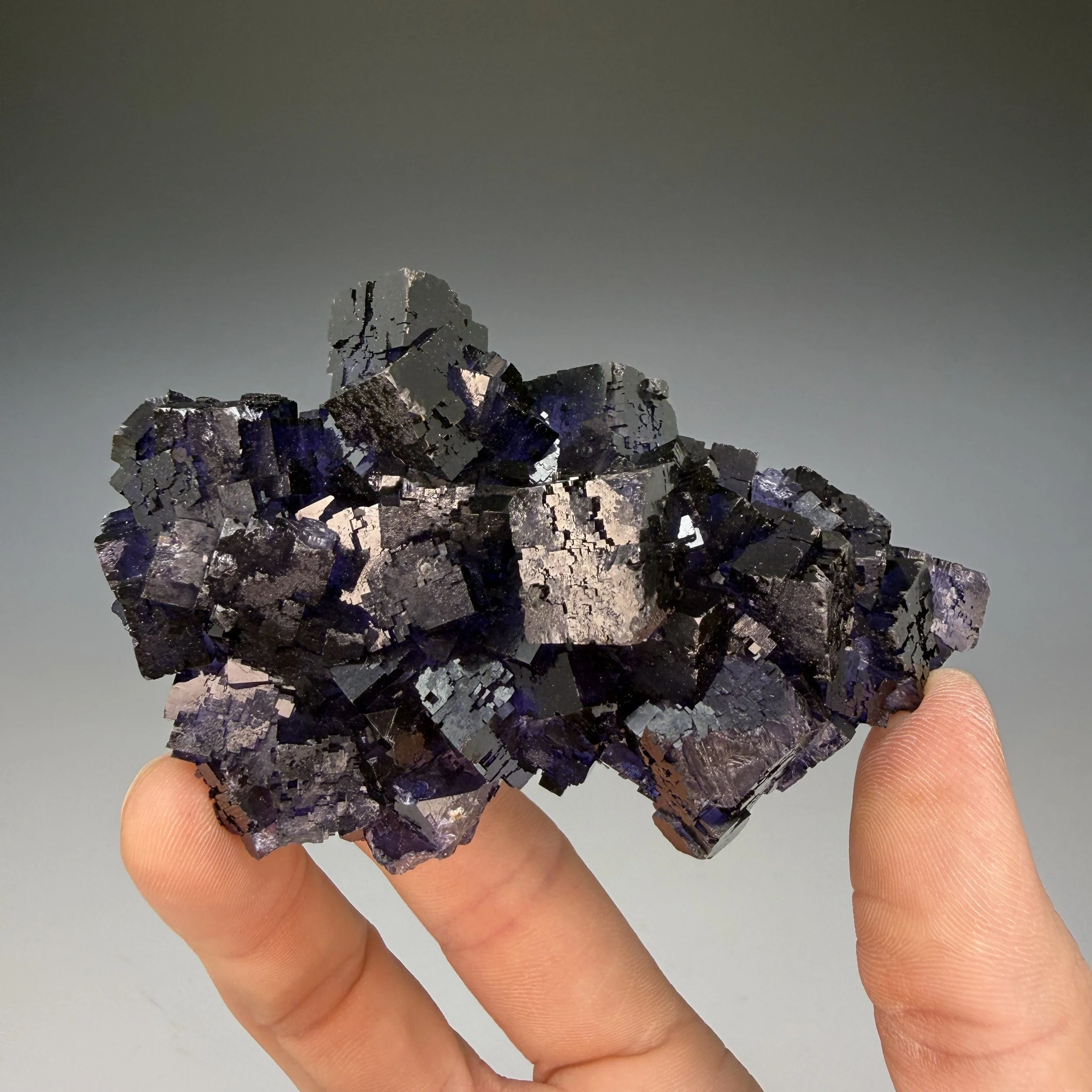 Fluorite, Esperonza, Coahuila, Mexico