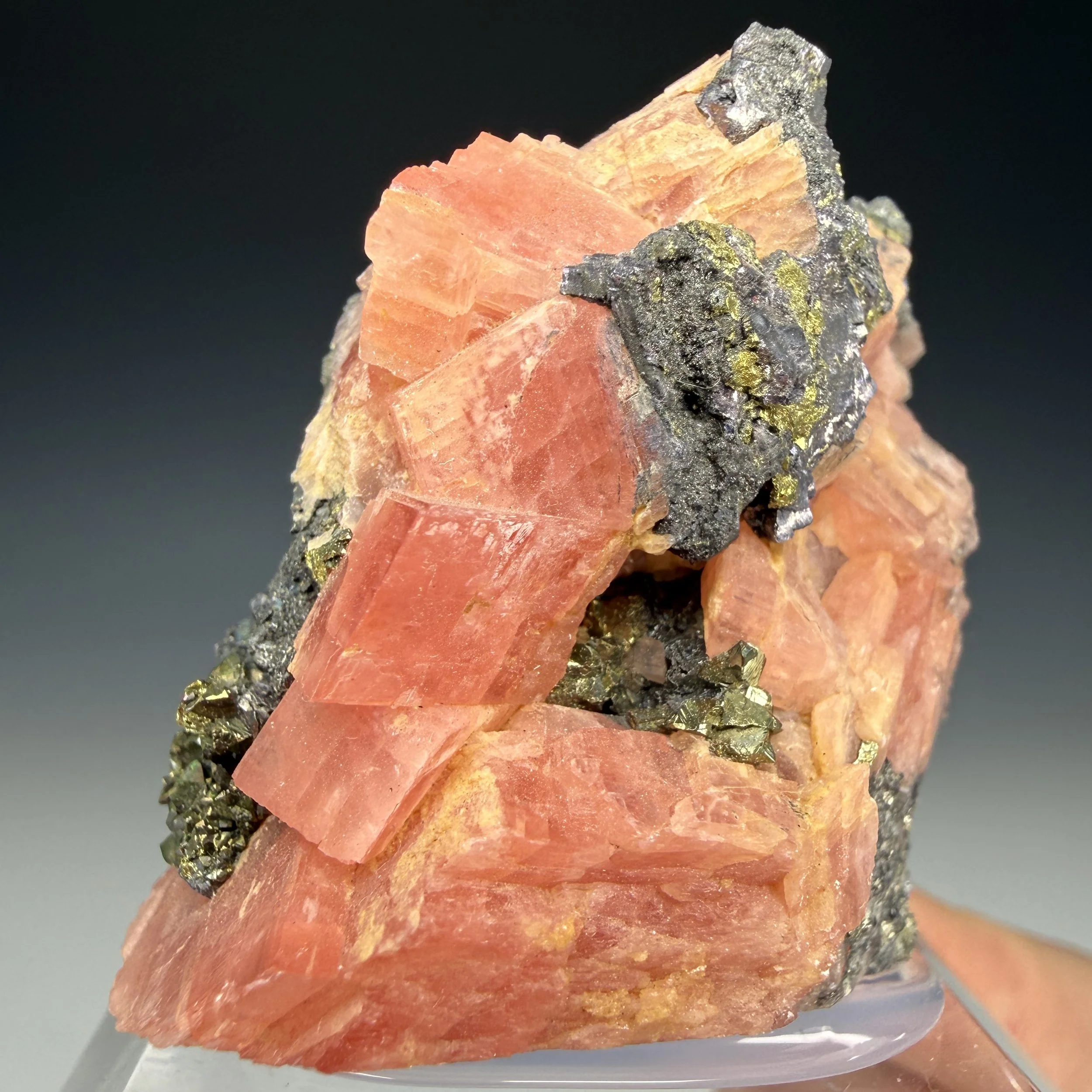 Rhodochrosite, Pyrite, Tetrahedrite, Sweet Home Mine, Alma Mining Dist., Park Co., Colorado, USA