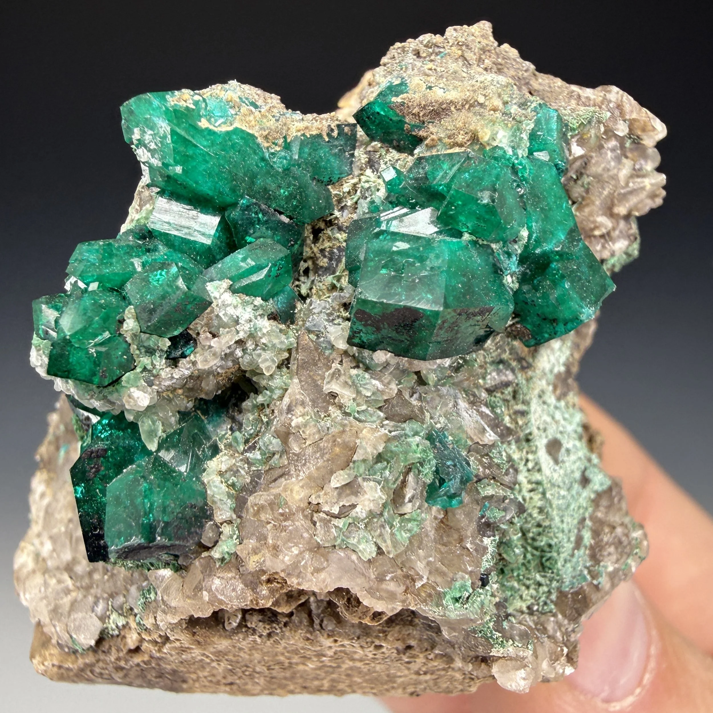 Dioptase, Altyn-Tyube, Bukhar-Zhyrau, Karaganda Region, Kazakhstan