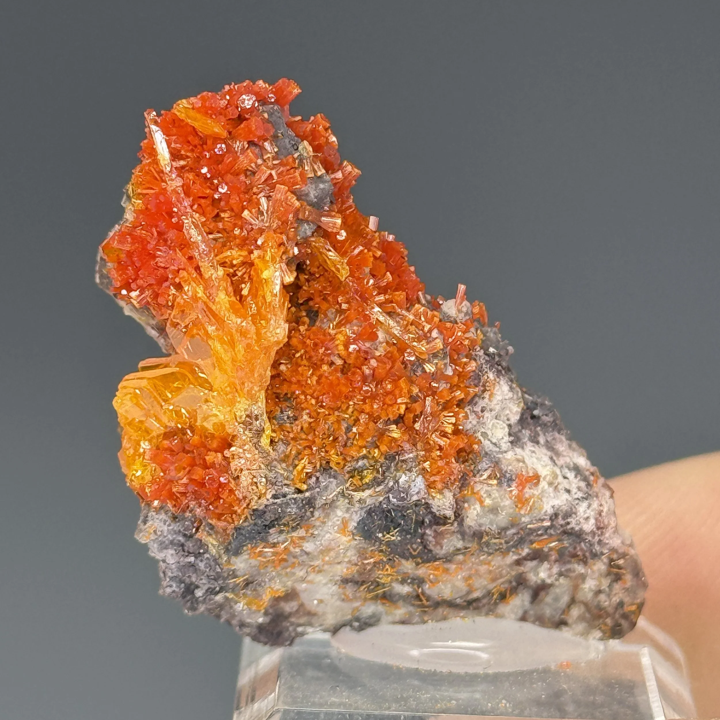 Wulfenite, Mimetite, Rowley Mine, Painted Rock, Arizona, USA